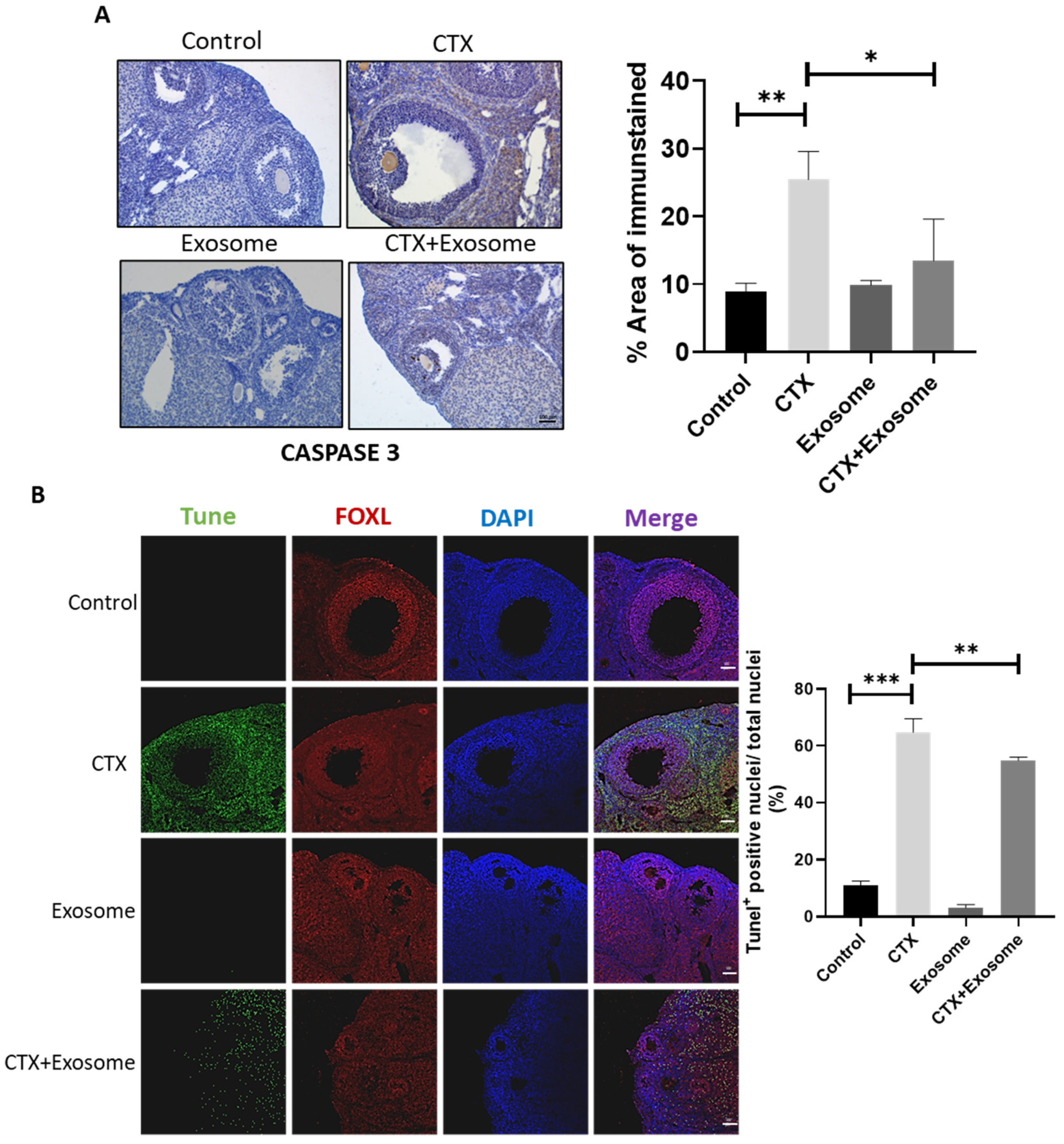 Molecules 28 02112 g007 Molecules 28 02112 g007