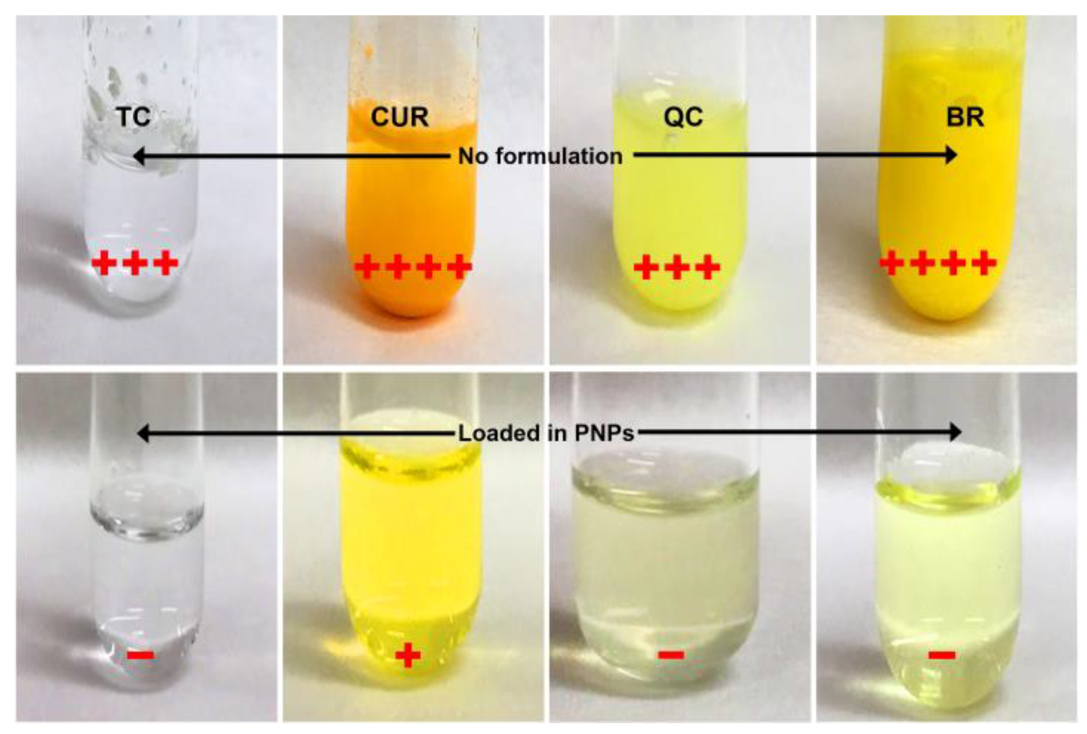 Molecules 28 02114 g001 Molecules 28 02114 g001