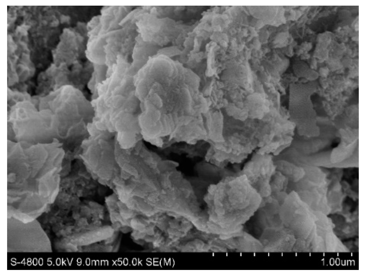 Molecules 28 02124 g009 550