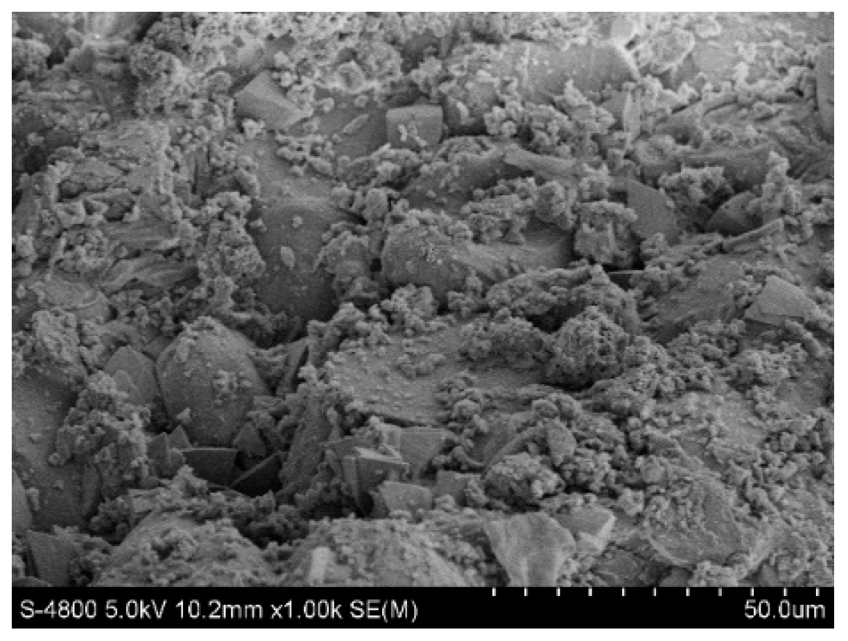 Molecules 28 02124 g012 550