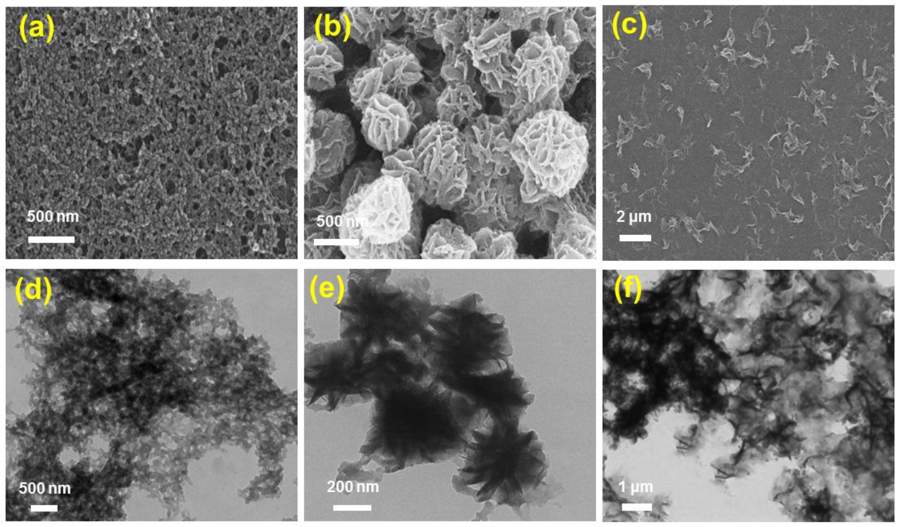 Molecules 28 02125 g002 Molecules 28 02125 g002