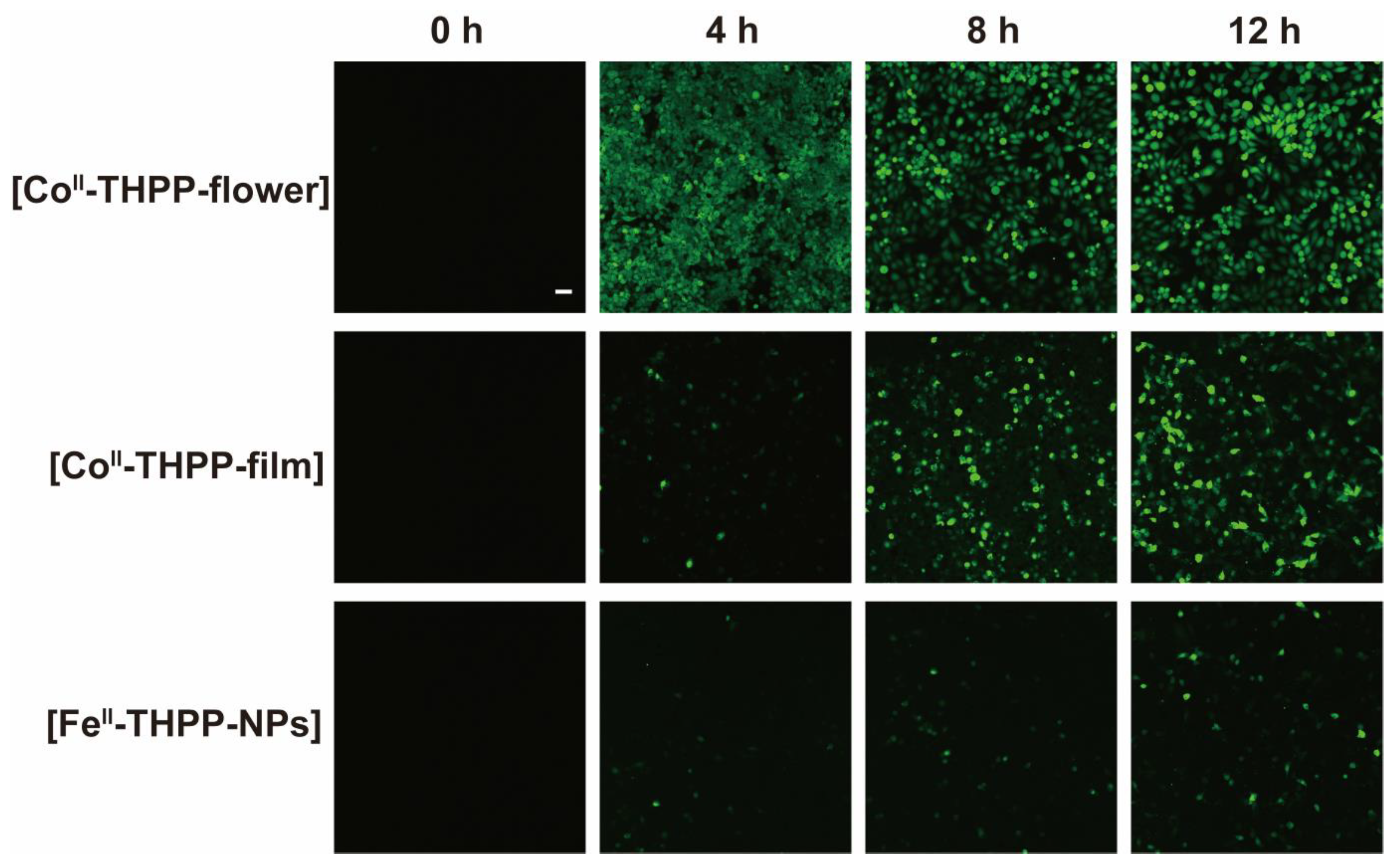 Molecules 28 02125 g009 Molecules 28 02125 g009