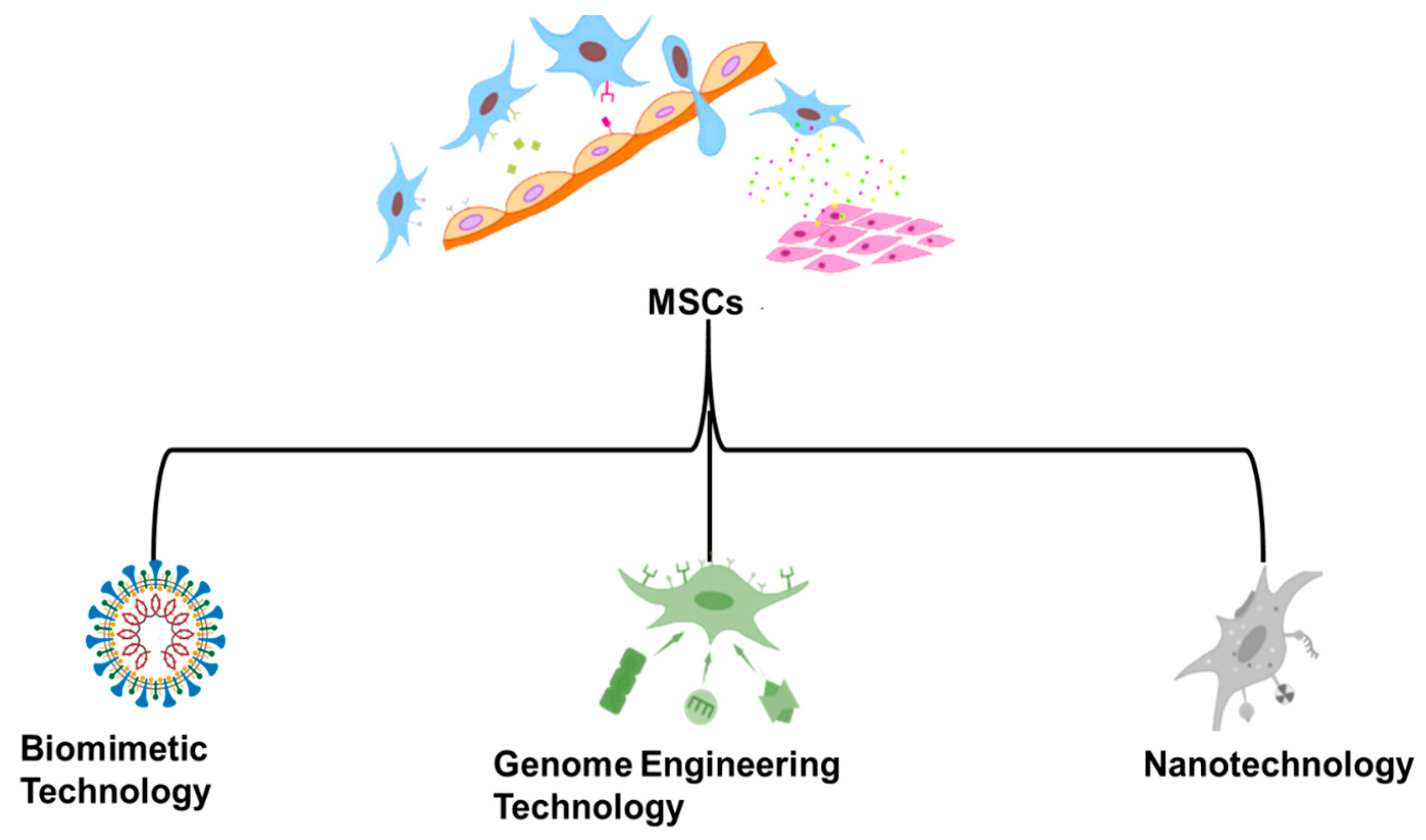 Molecules 28 02130 g001