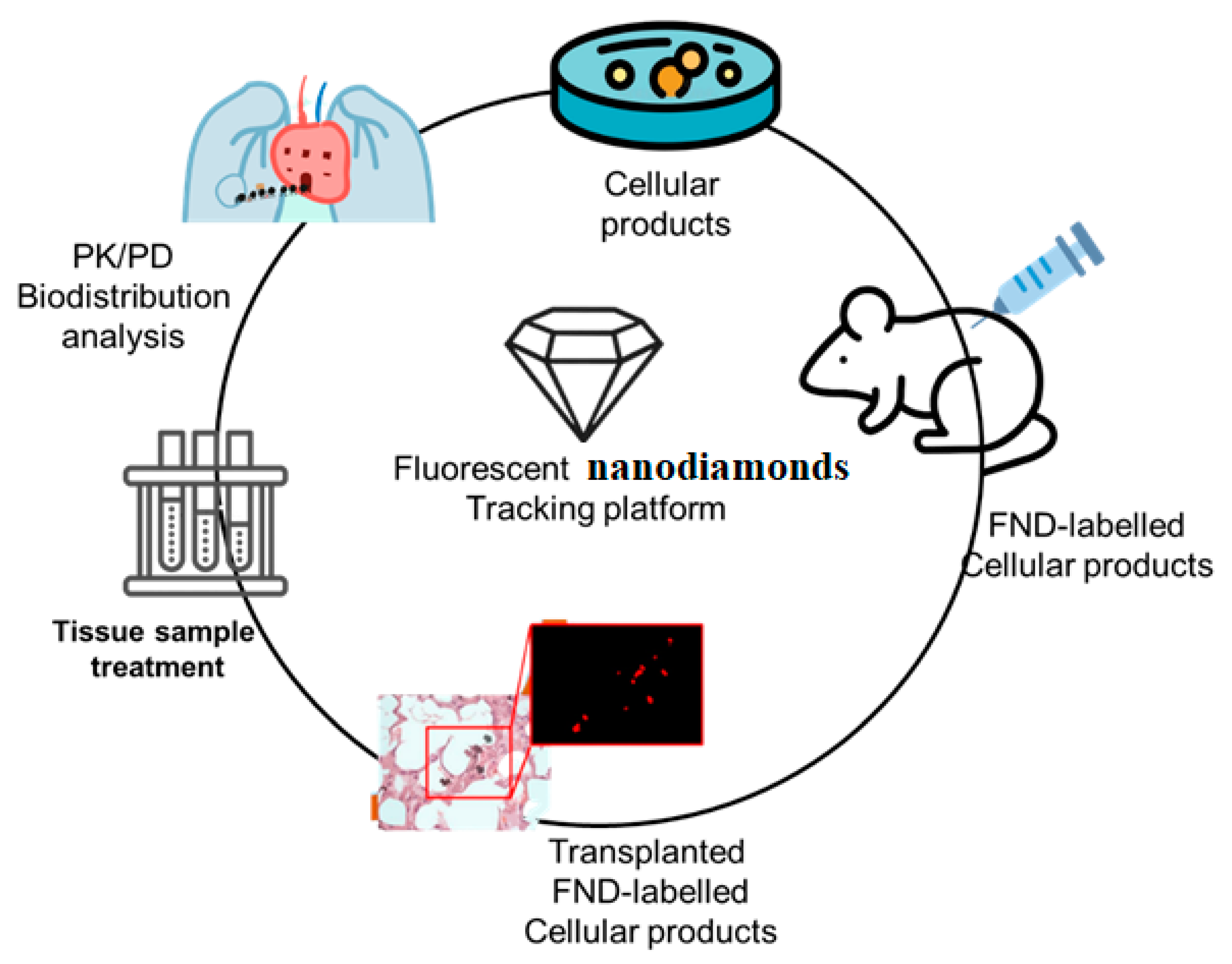 Molecules 28 02130 g002