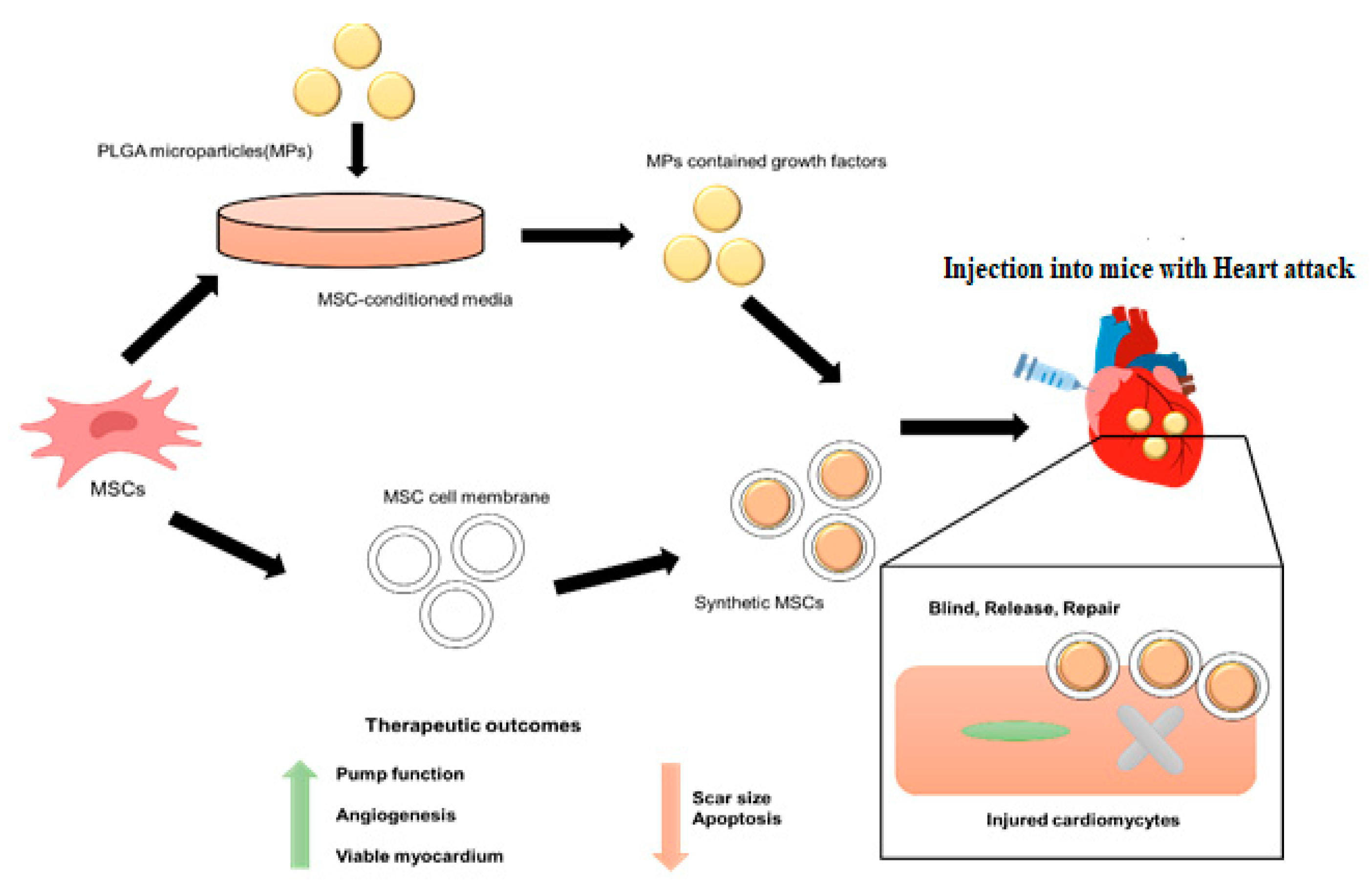 Molecules 28 02130 g006