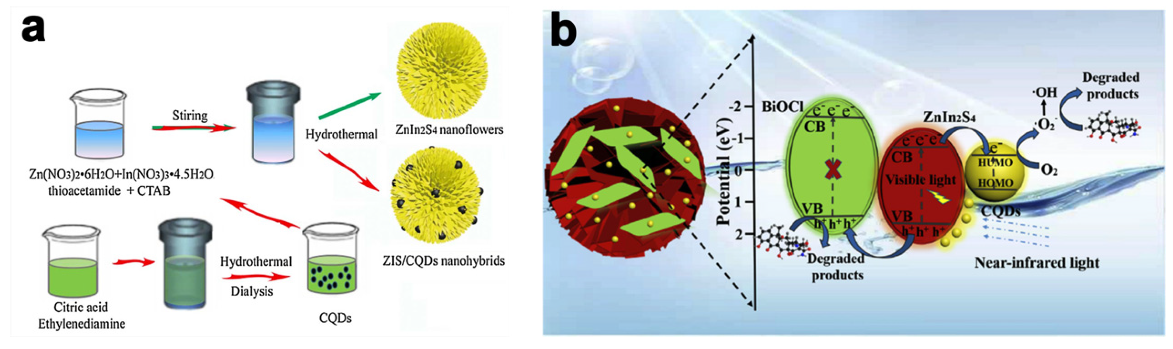 Molecules 28 02142 g005 Molecules 28 02142 g005