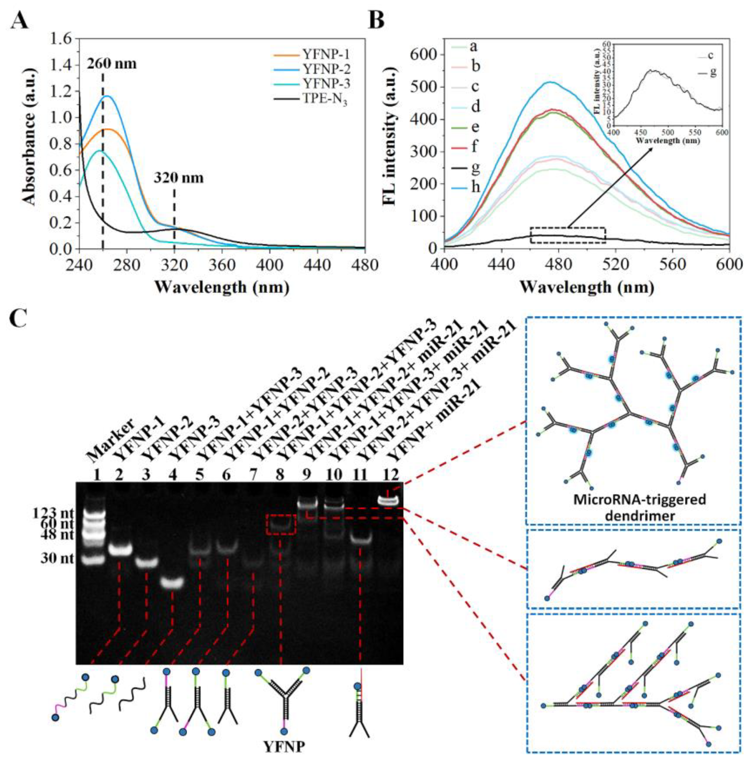 Molecules 28 02149 g002 Molecules 28 02149 g002