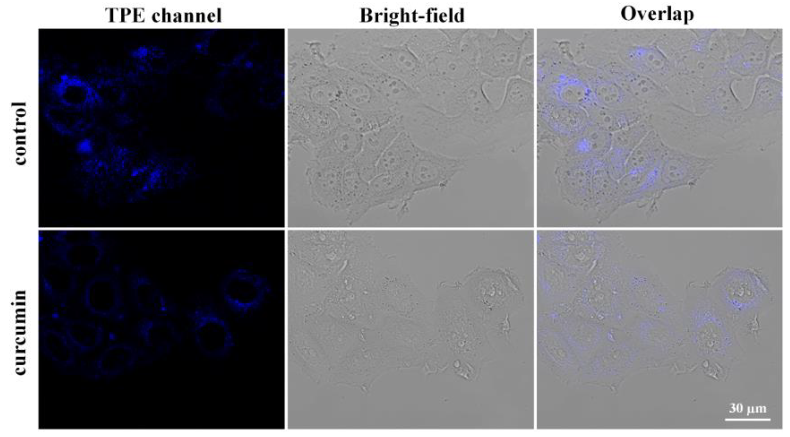 Molecules 28 02149 g007 Molecules 28 02149 g007