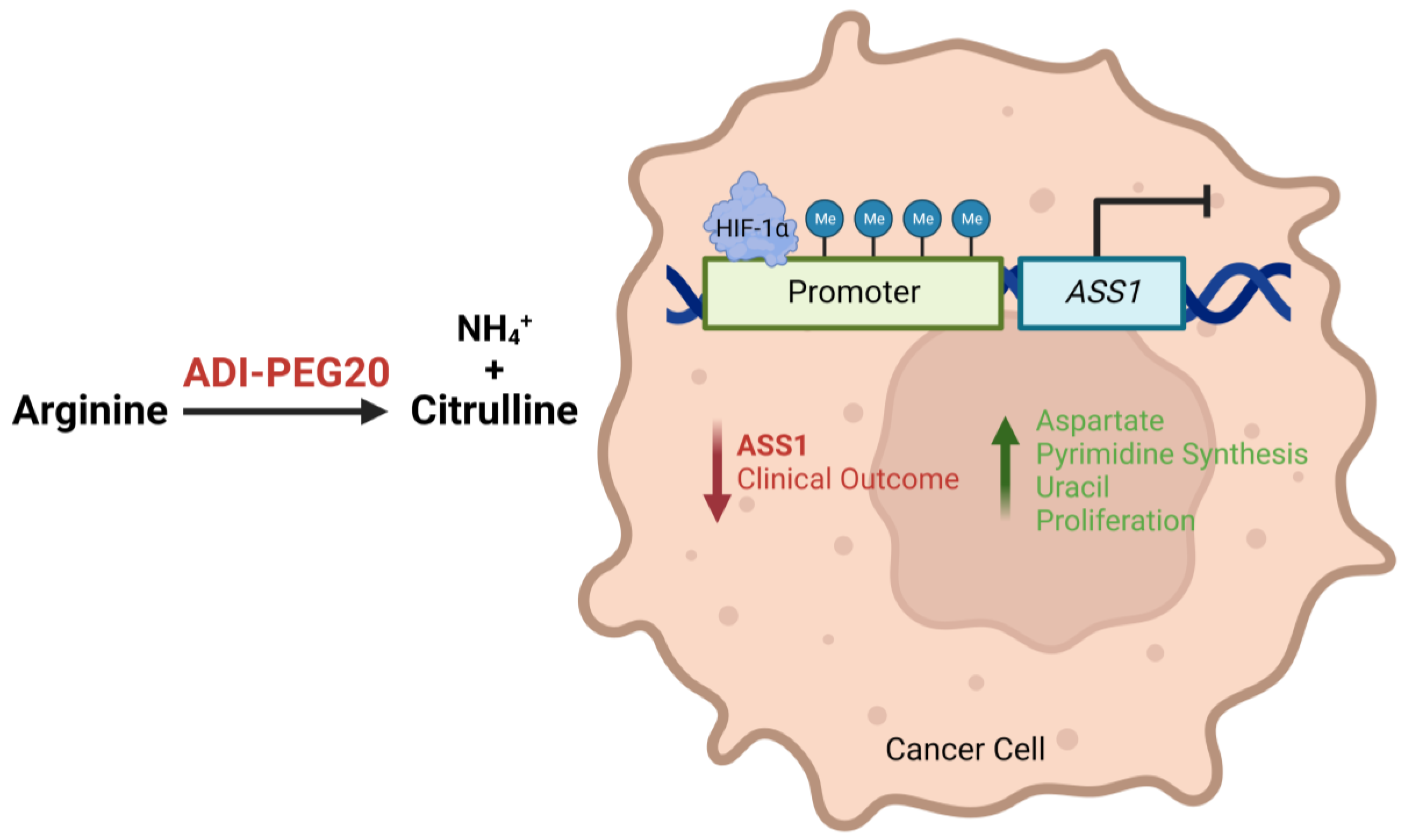 Molecules 28 02150 g001