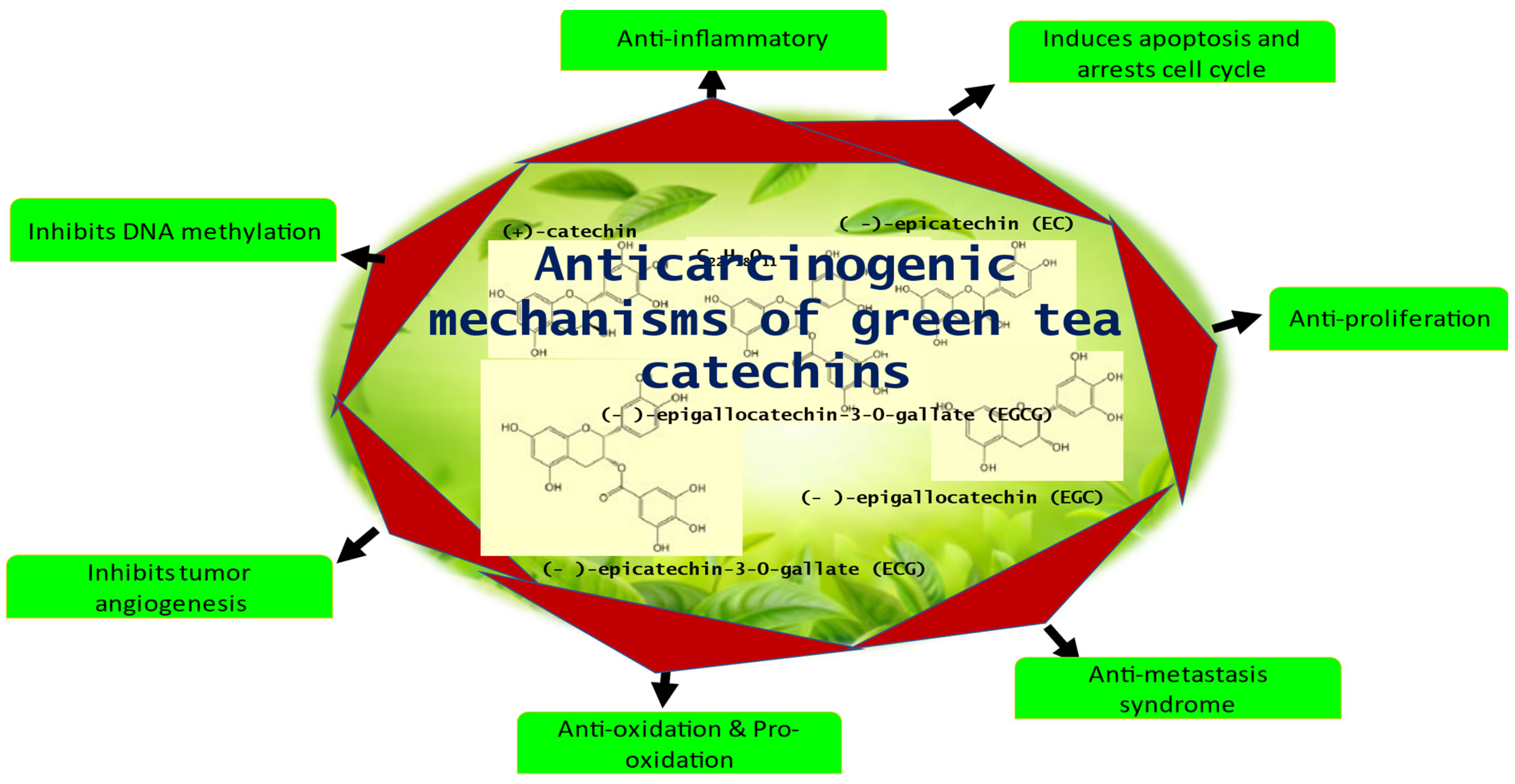 Molecules 28 02151 g001