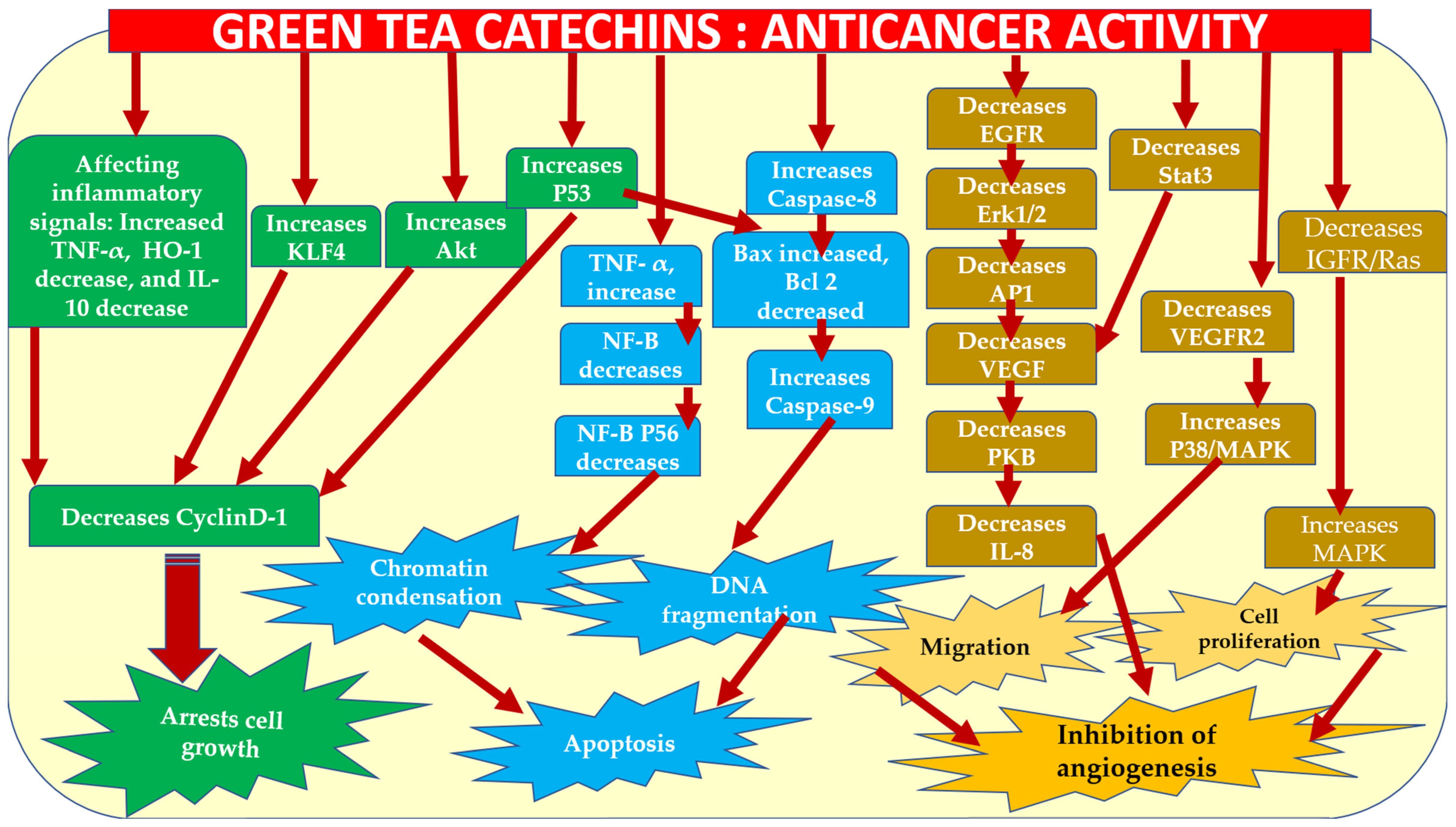 Molecules 28 02151 g003