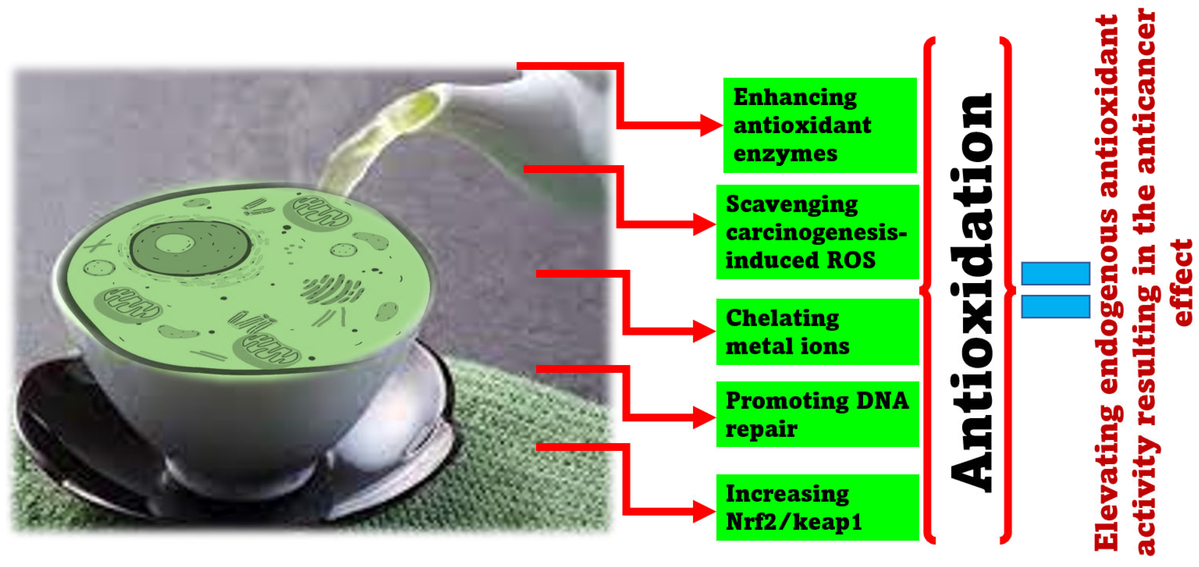 Molecules 28 02151 g004