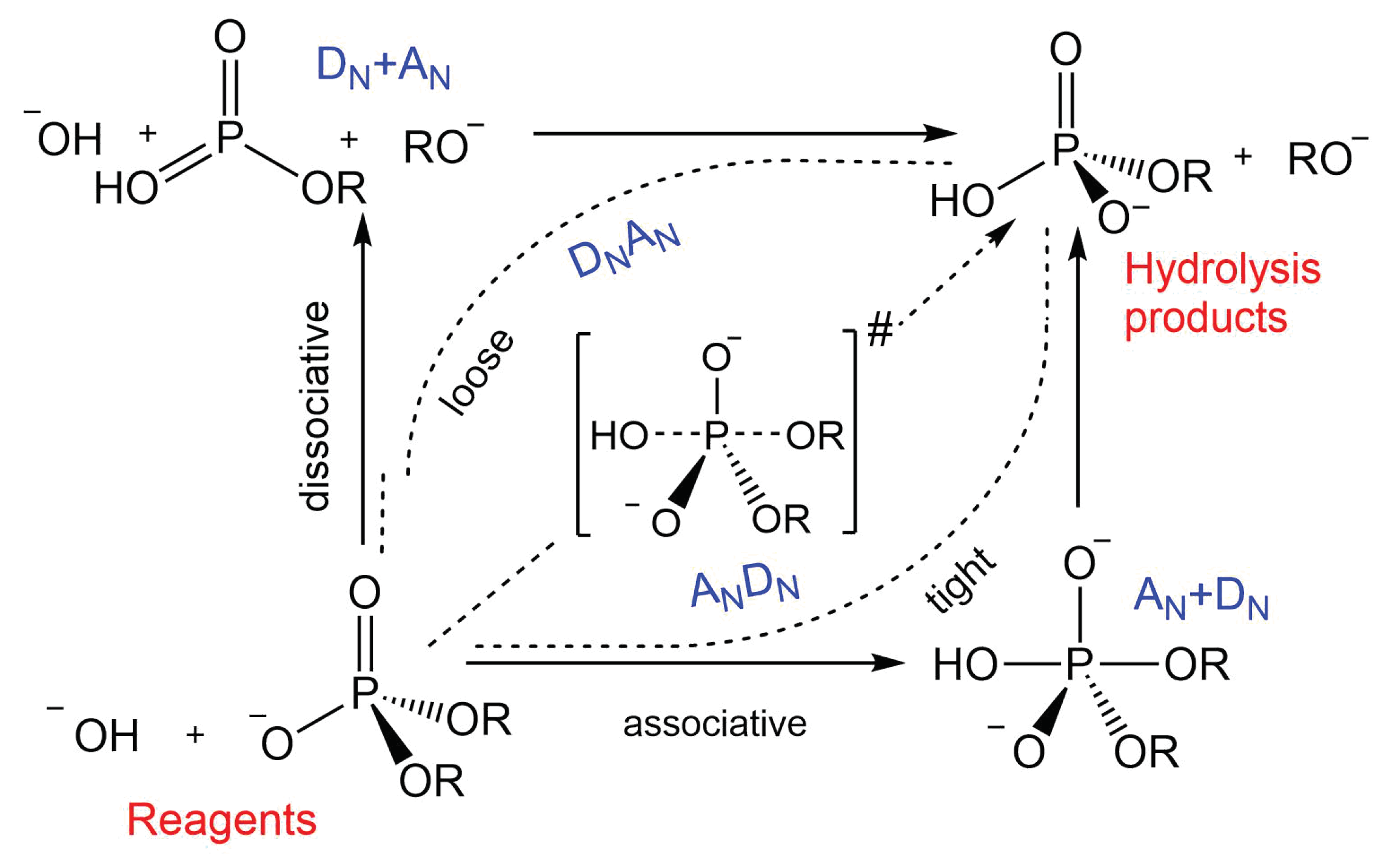 Molecules 28 02152 g008