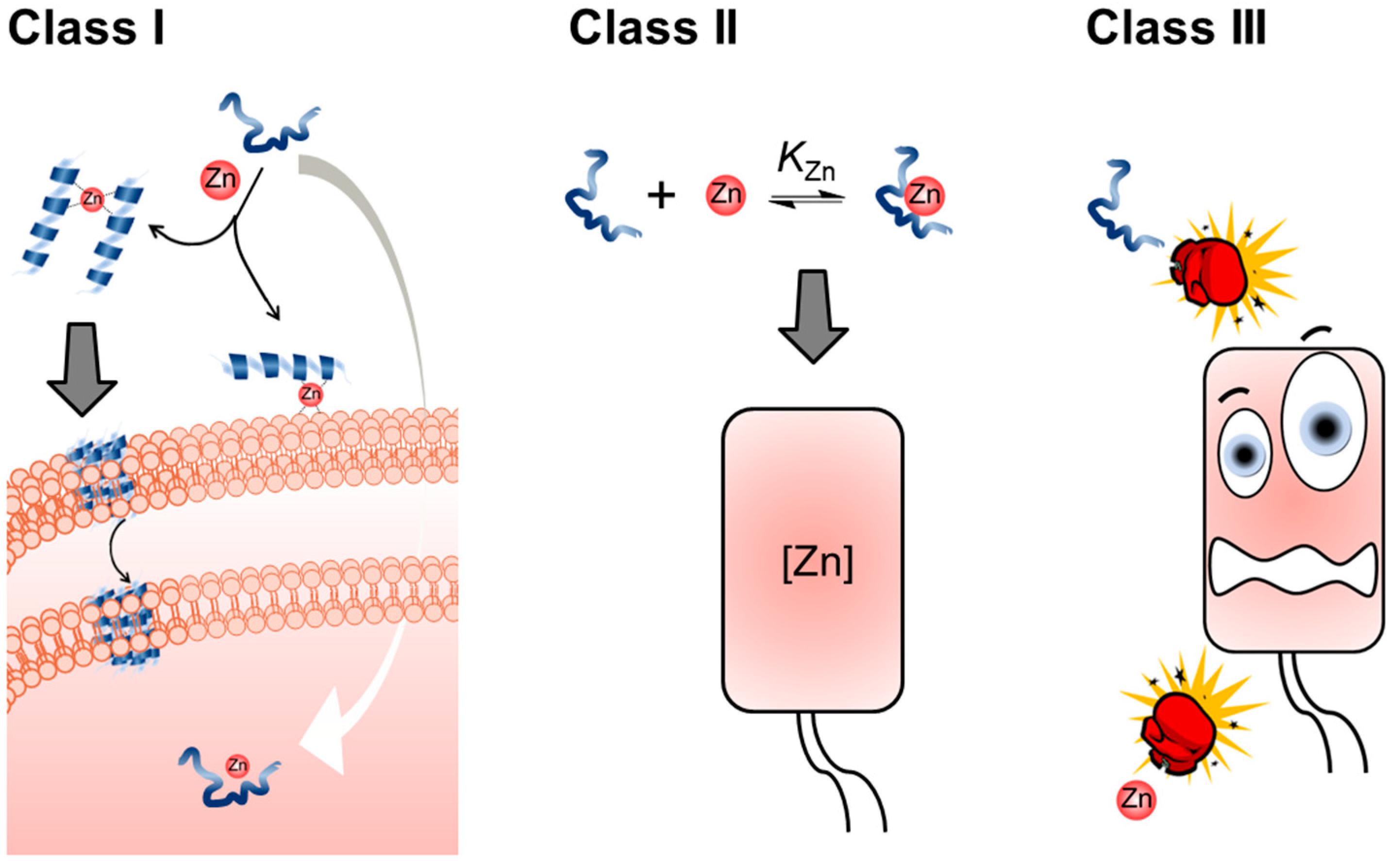 Molecules 28 02156 sch001 Molecules 28 02156 sch001