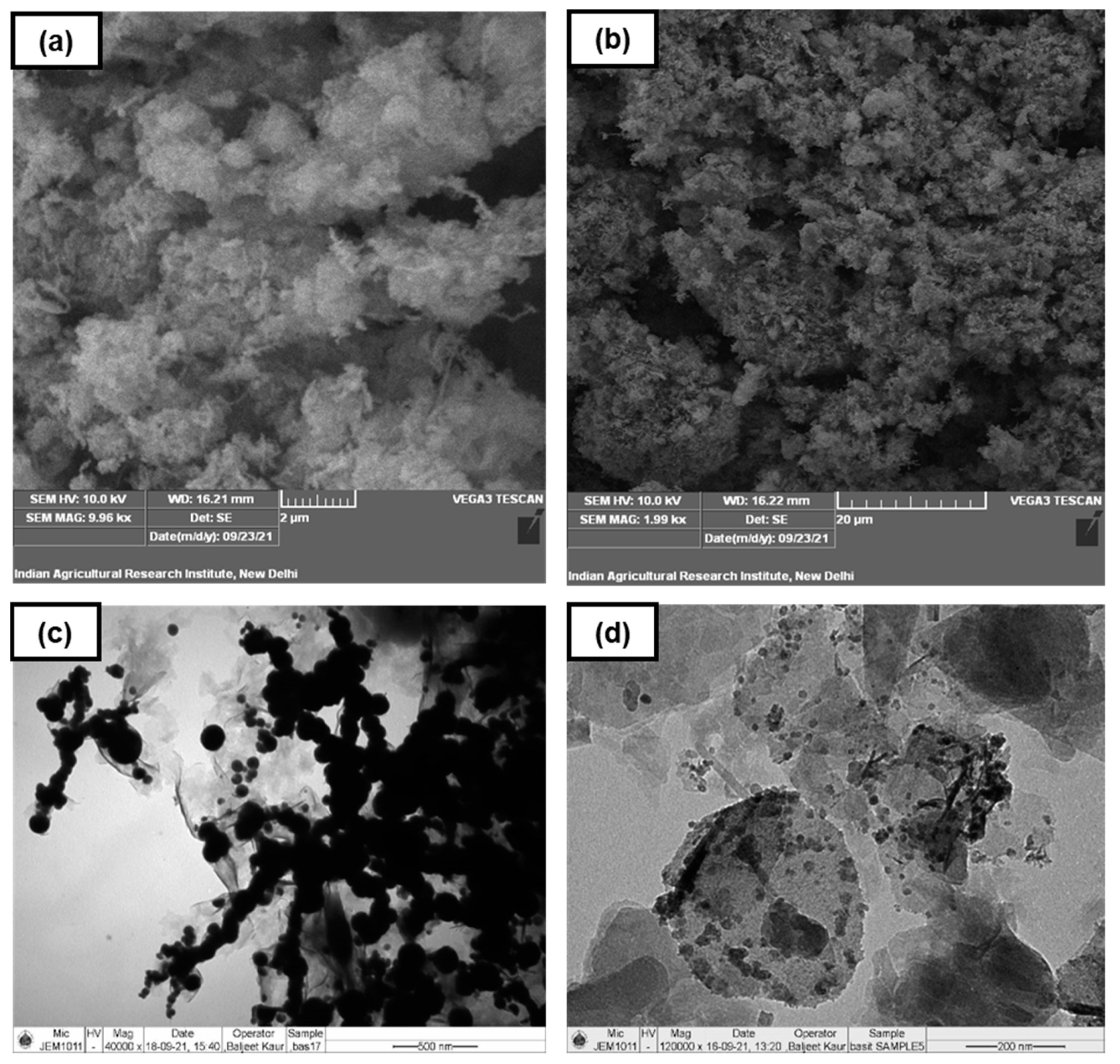 Molecules 28 02168 g001 Molecules 28 02168 g001