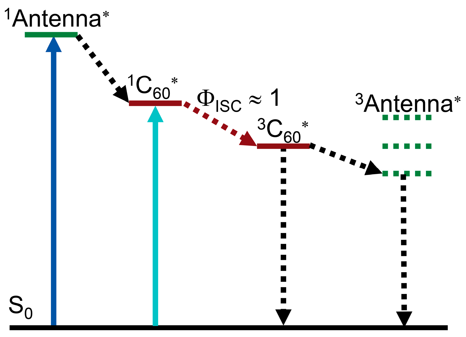 Molecules 28 02170 g012