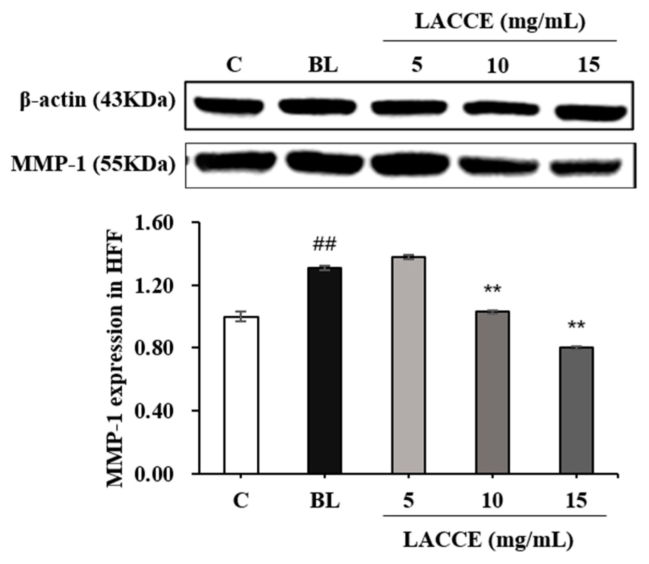 Molecules 28 02172 g007 Molecules 28 02172 g007