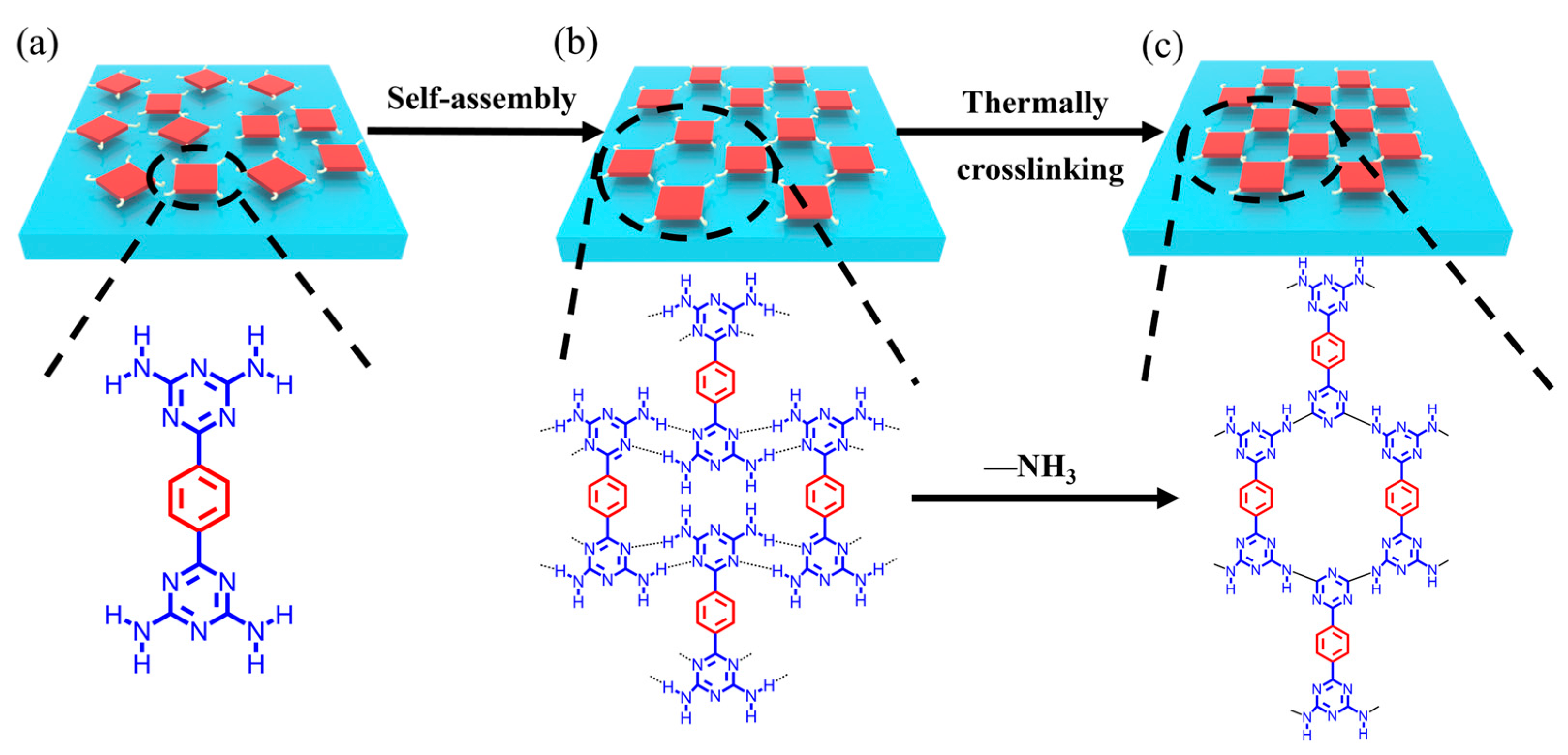 Molecules 28 02173 g001