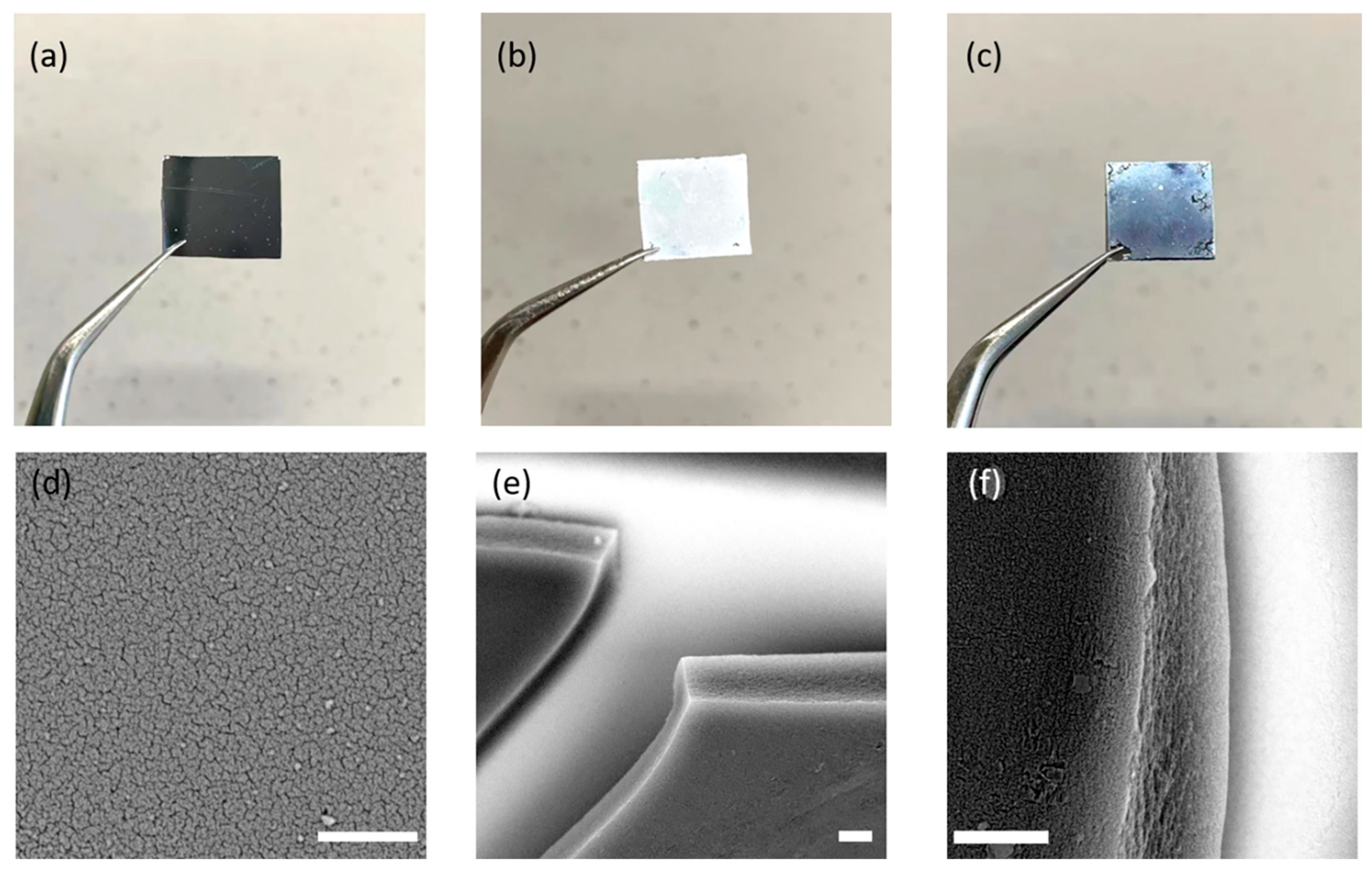 Molecules 28 02173 g006