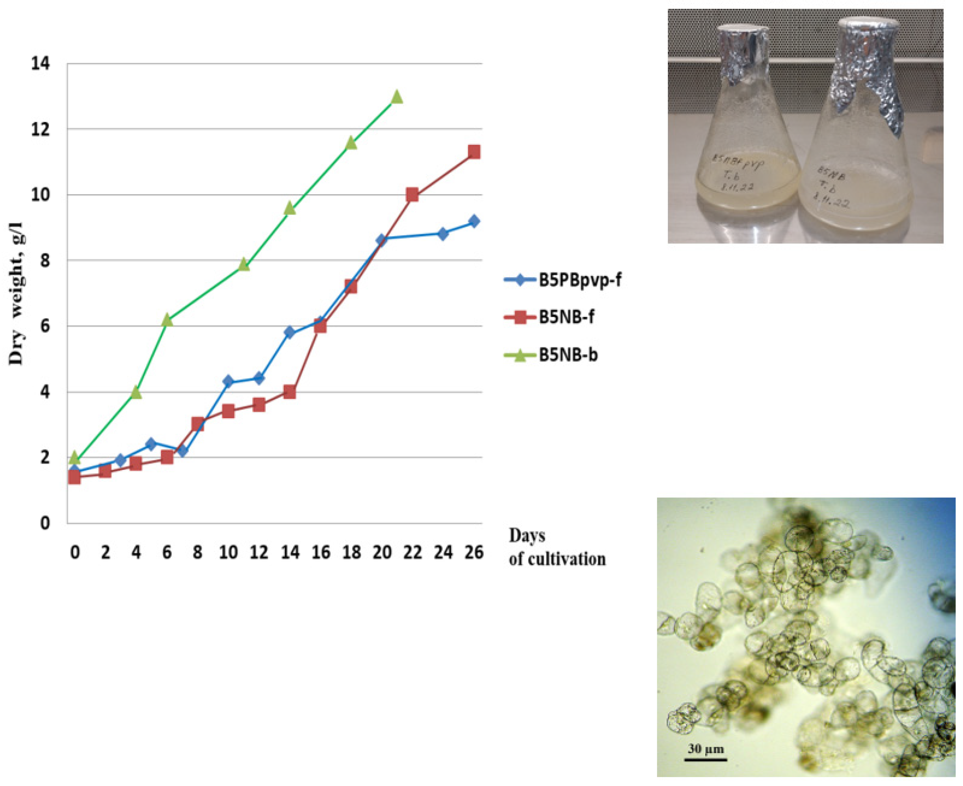 Molecules 28 02178 g001 Molecules 28 02178 g001
