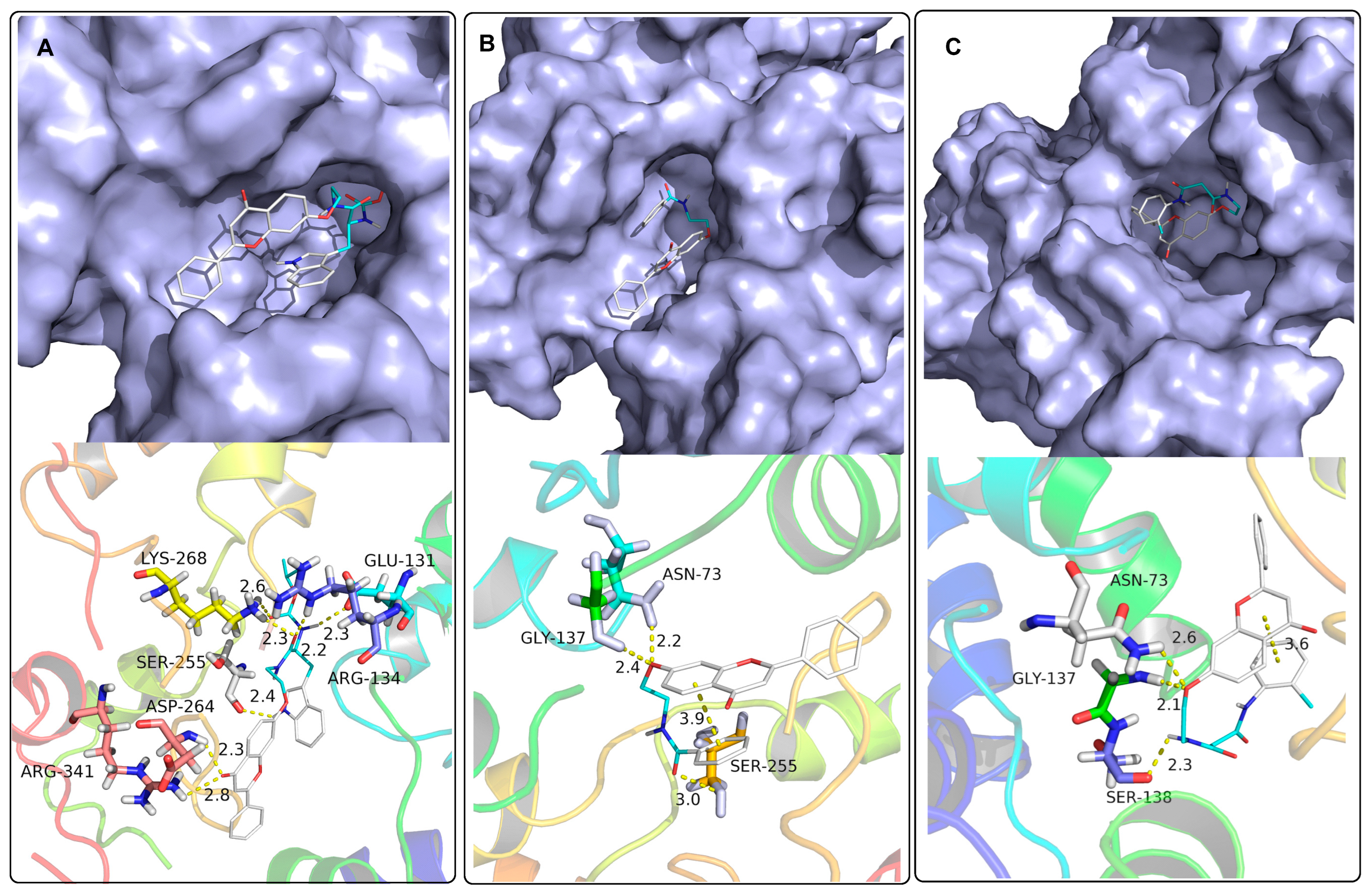 Molecules 28 02179 g003 Molecules 28 02179 g003