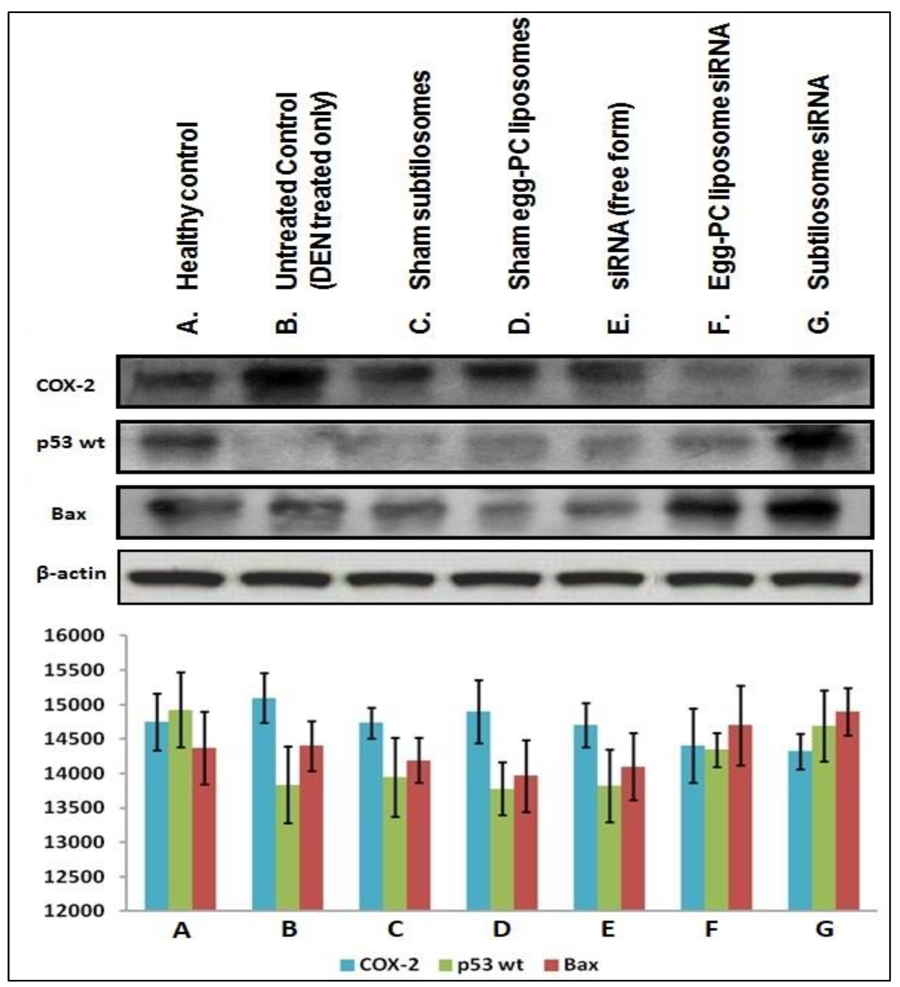 Molecules 28 02191 g007