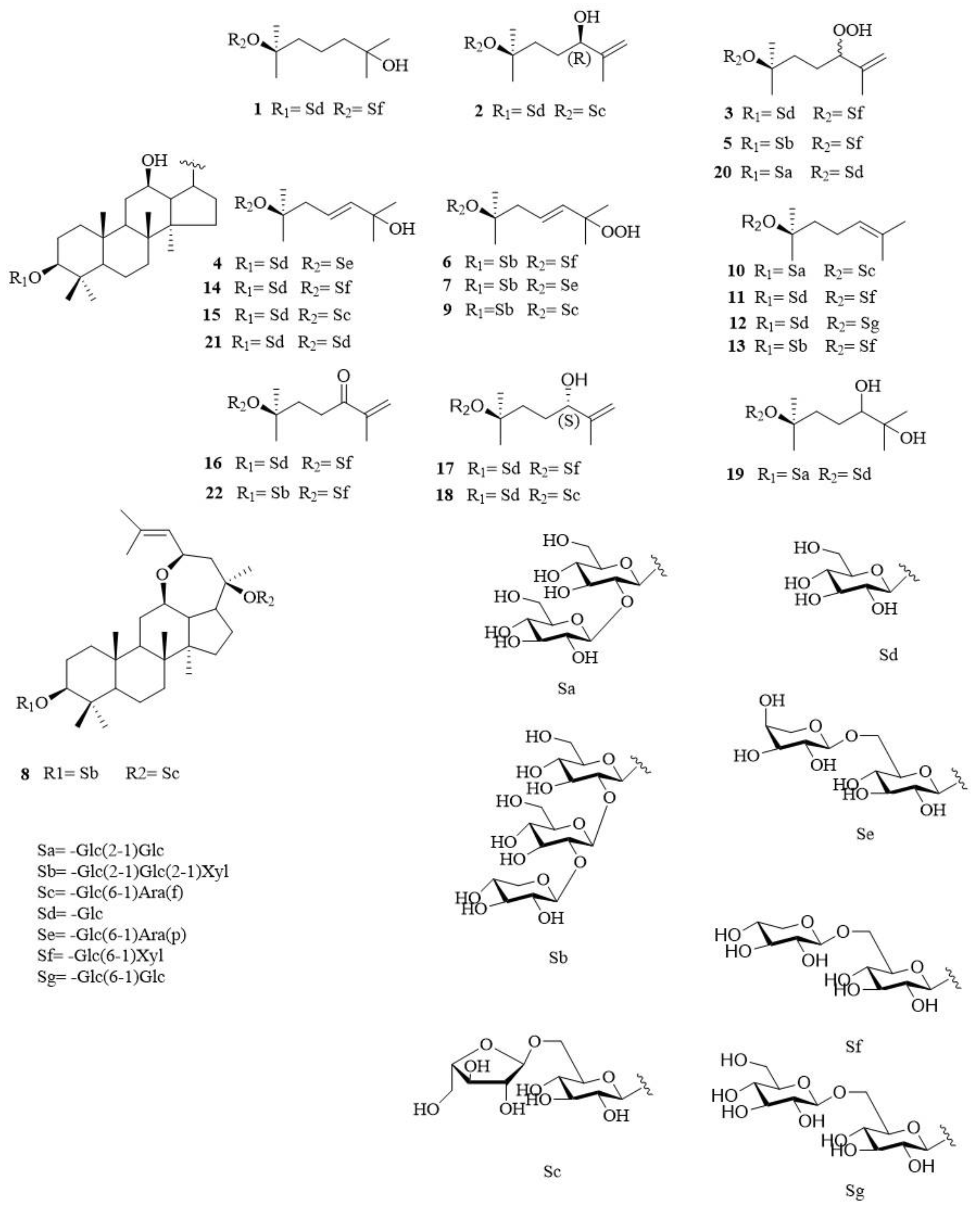 Study on Chemical Constituents of Panax notoginseng Leaves