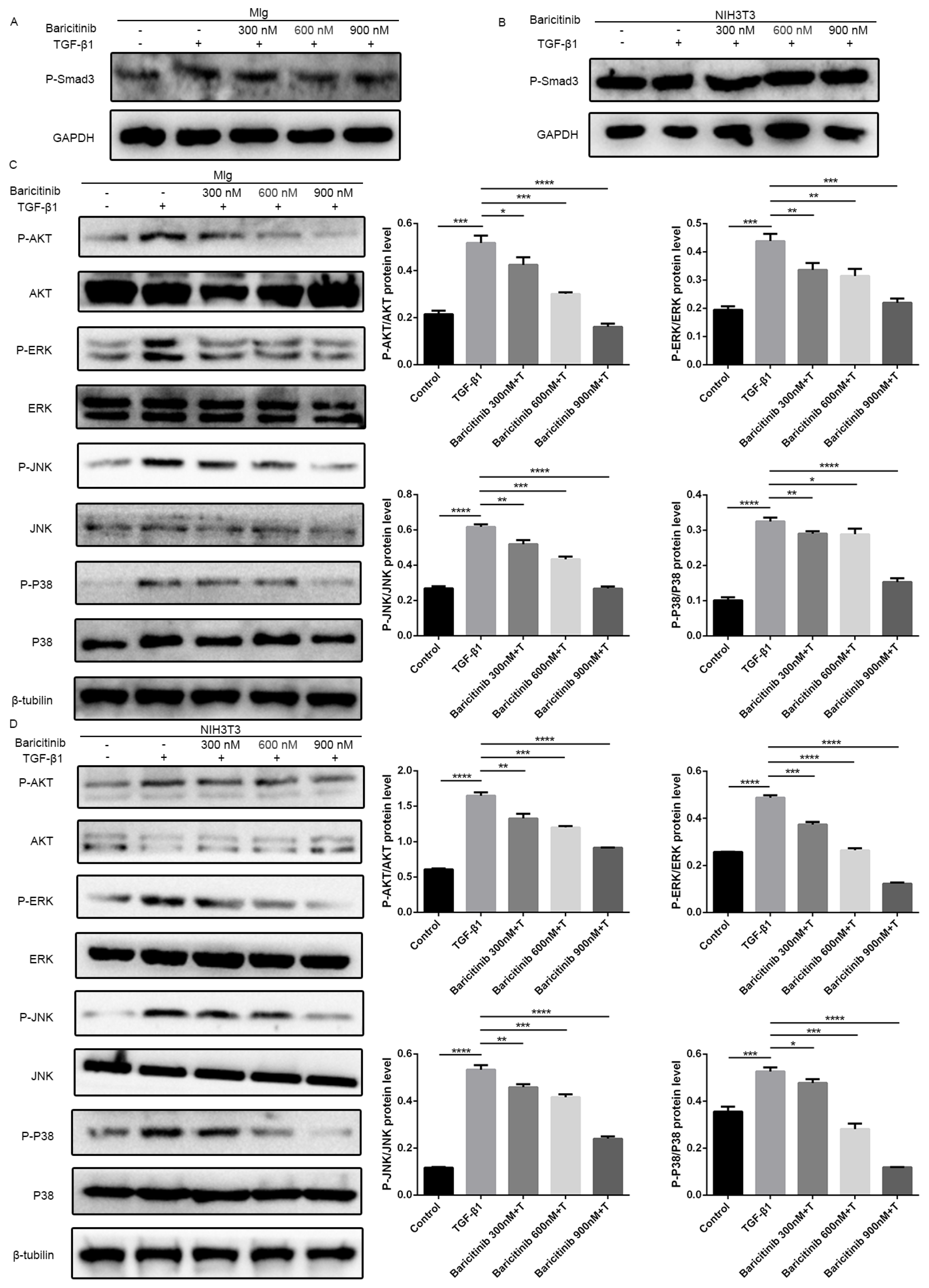 Molecules 28 02195 g005 Molecules 28 02195 g005