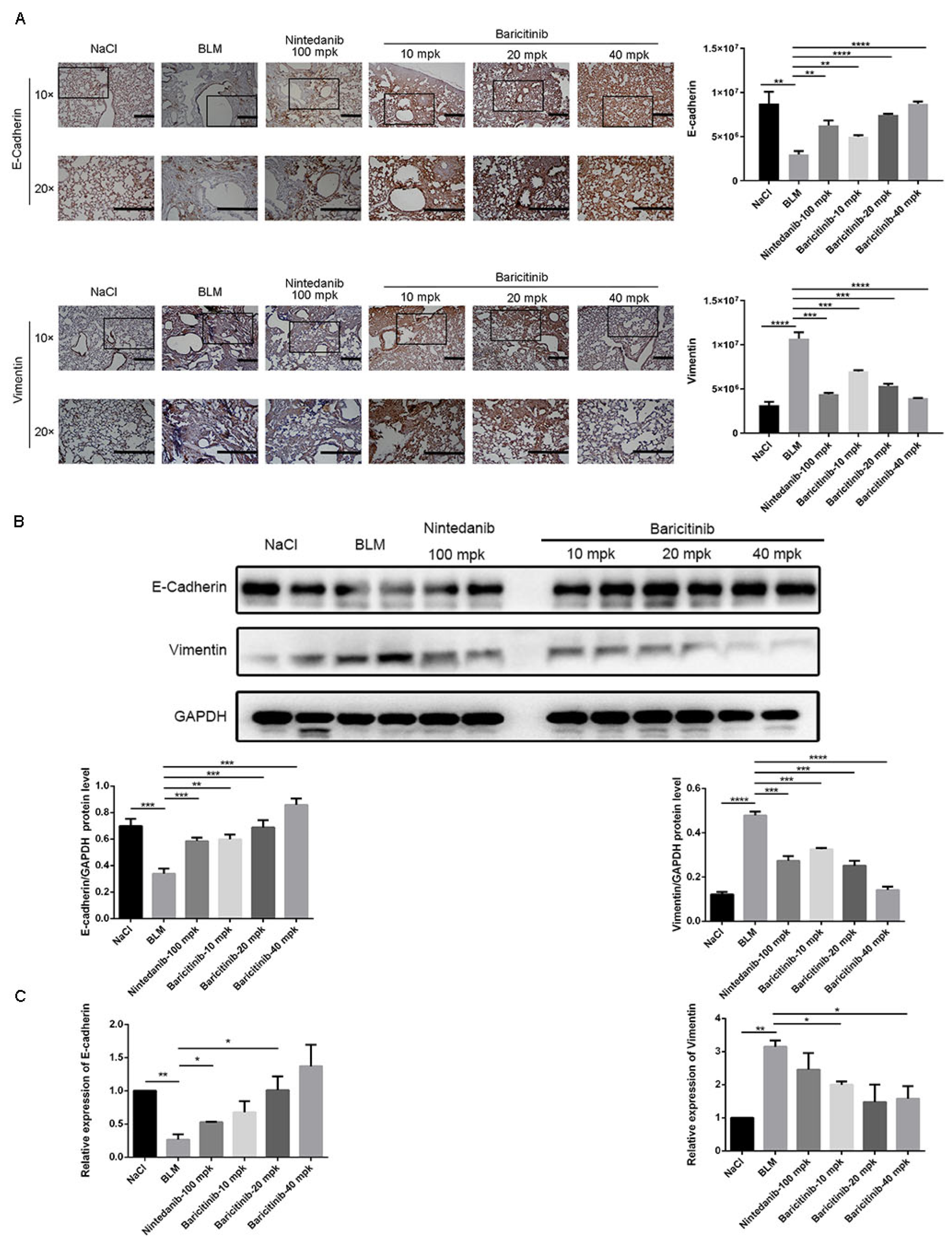 Molecules 28 02195 g008 Molecules 28 02195 g008