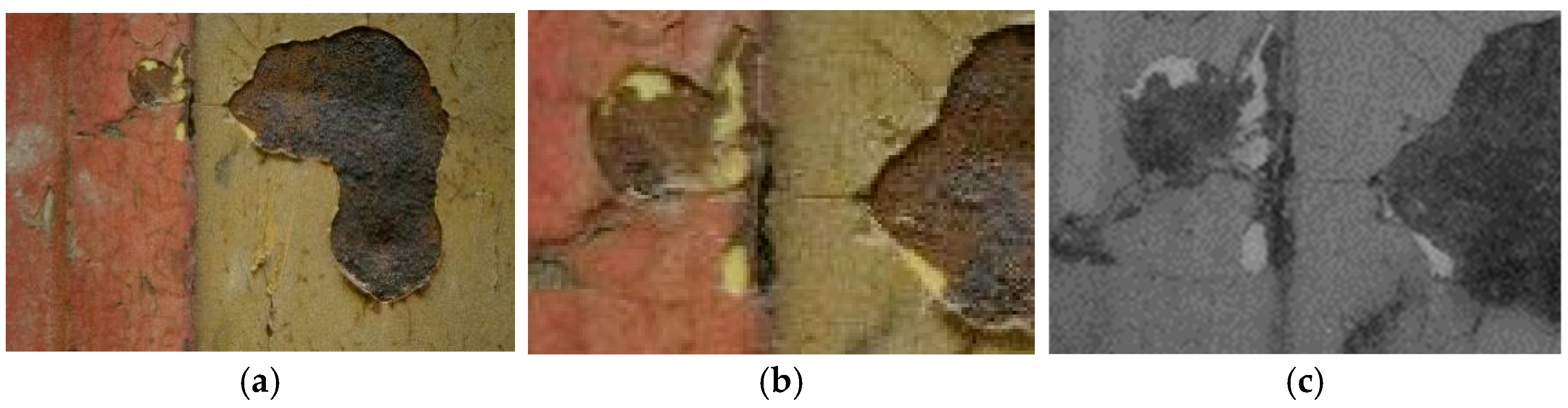 Molecules 28 02197 g006