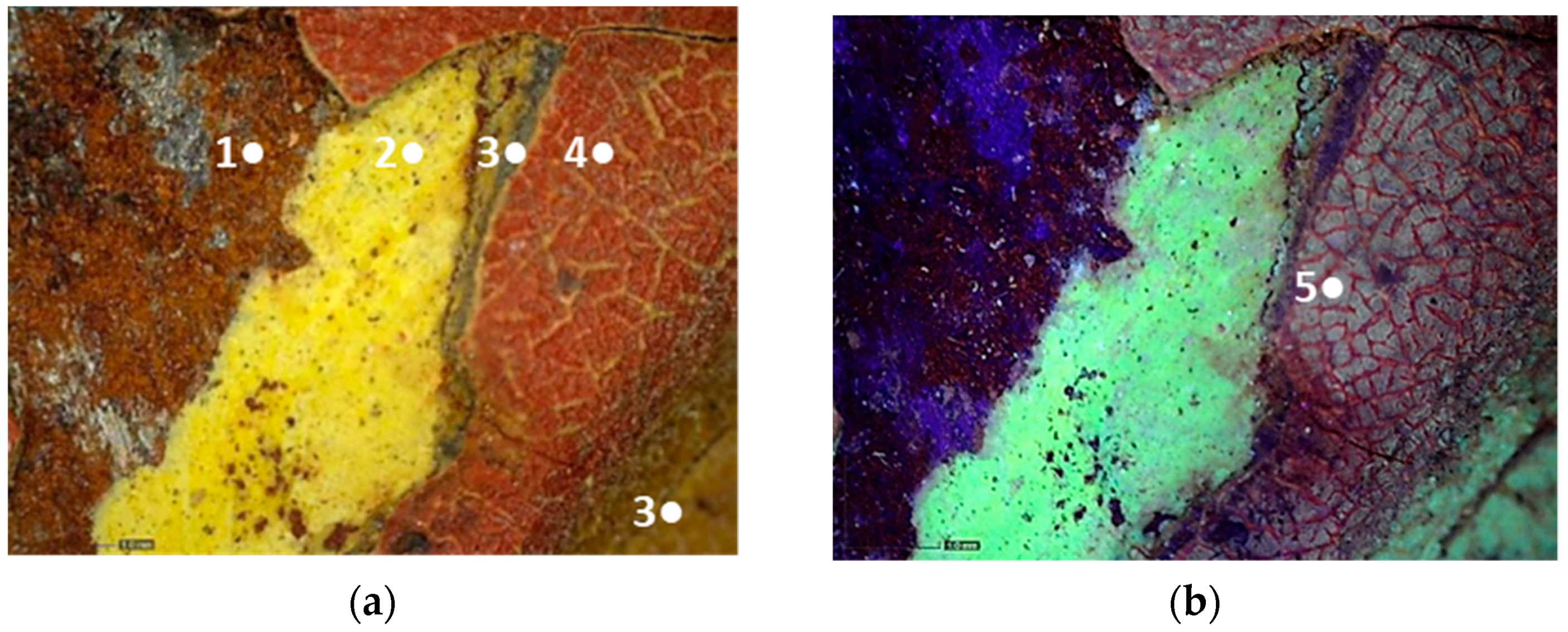 Molecules 28 02197 g008