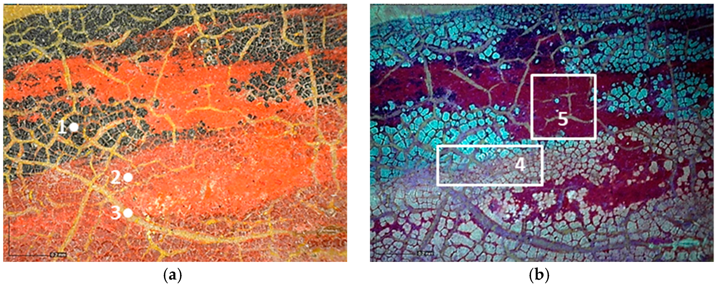 Molecules 28 02197 g009