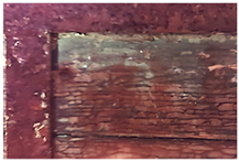 Molecules 28 02197 i003