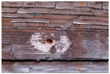 Molecules 28 02197 i004