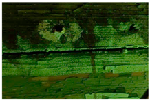 Molecules 28 02197 i005