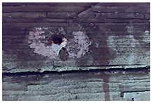 Molecules 28 02197 i006