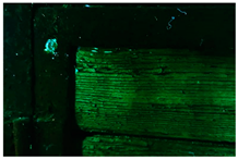 Molecules 28 02197 i008