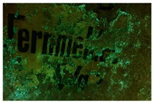 Molecules 28 02197 i011