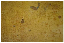 Molecules 28 02197 i022