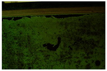 Molecules 28 02197 i023