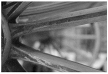 Molecules 28 02197 i027