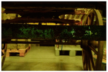 Molecules 28 02197 i032