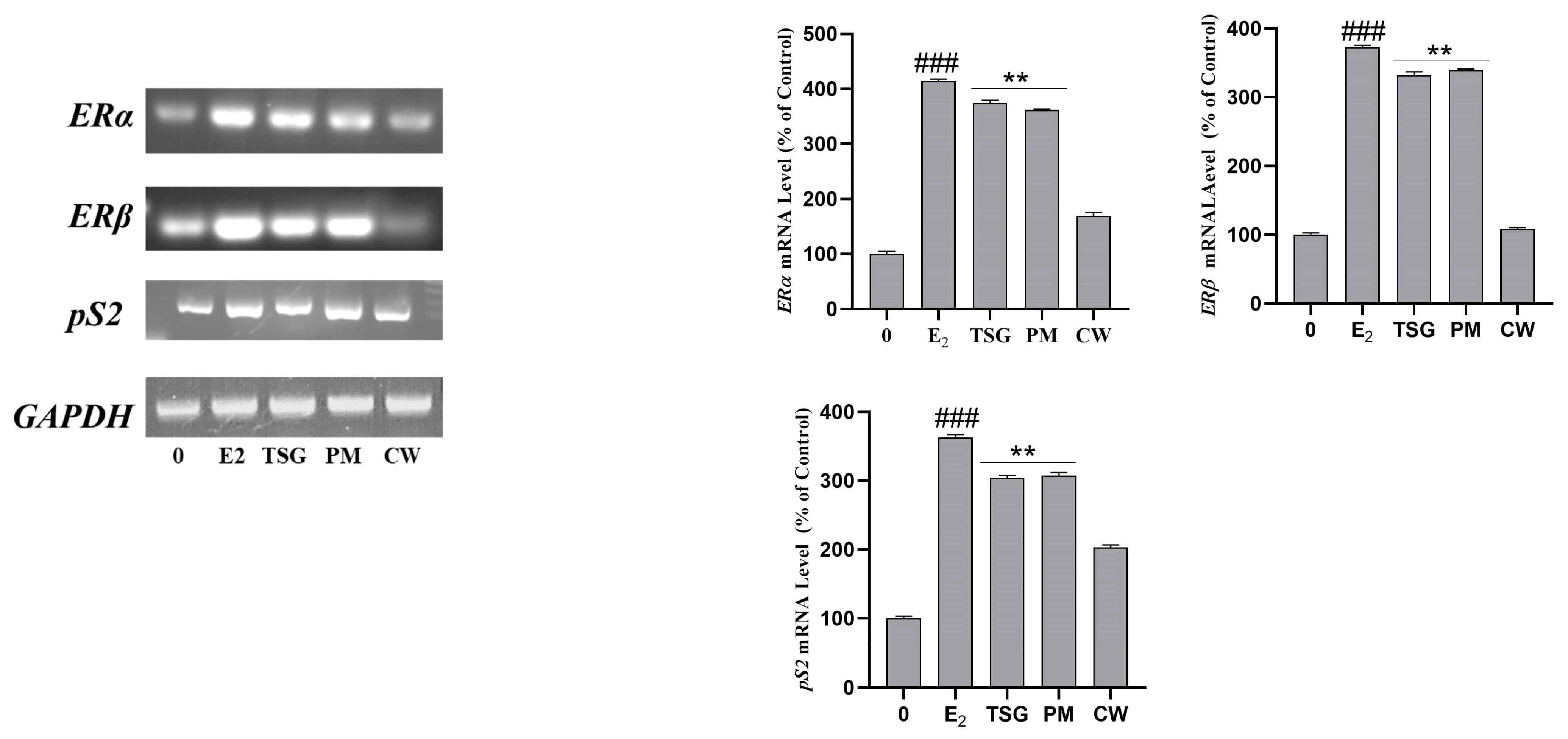 Molecules 28 02199 g006 Molecules 28 02199 g006