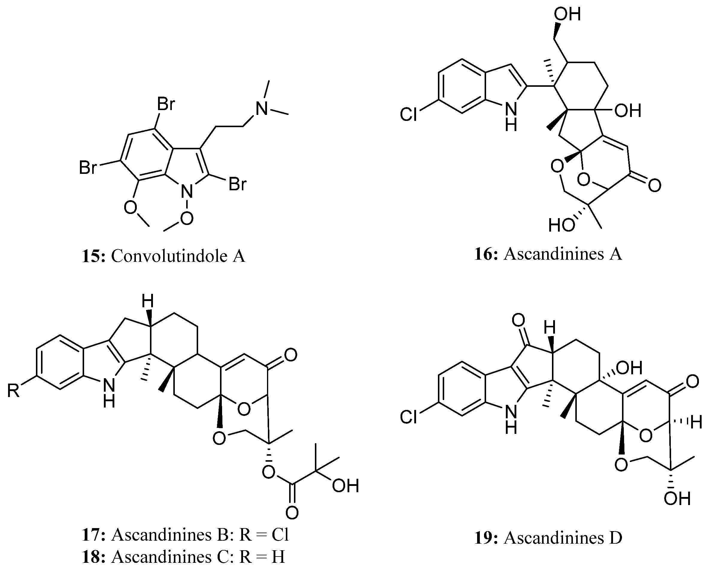 Molecules 28 02204 g003 Molecules 28 02204 g003
