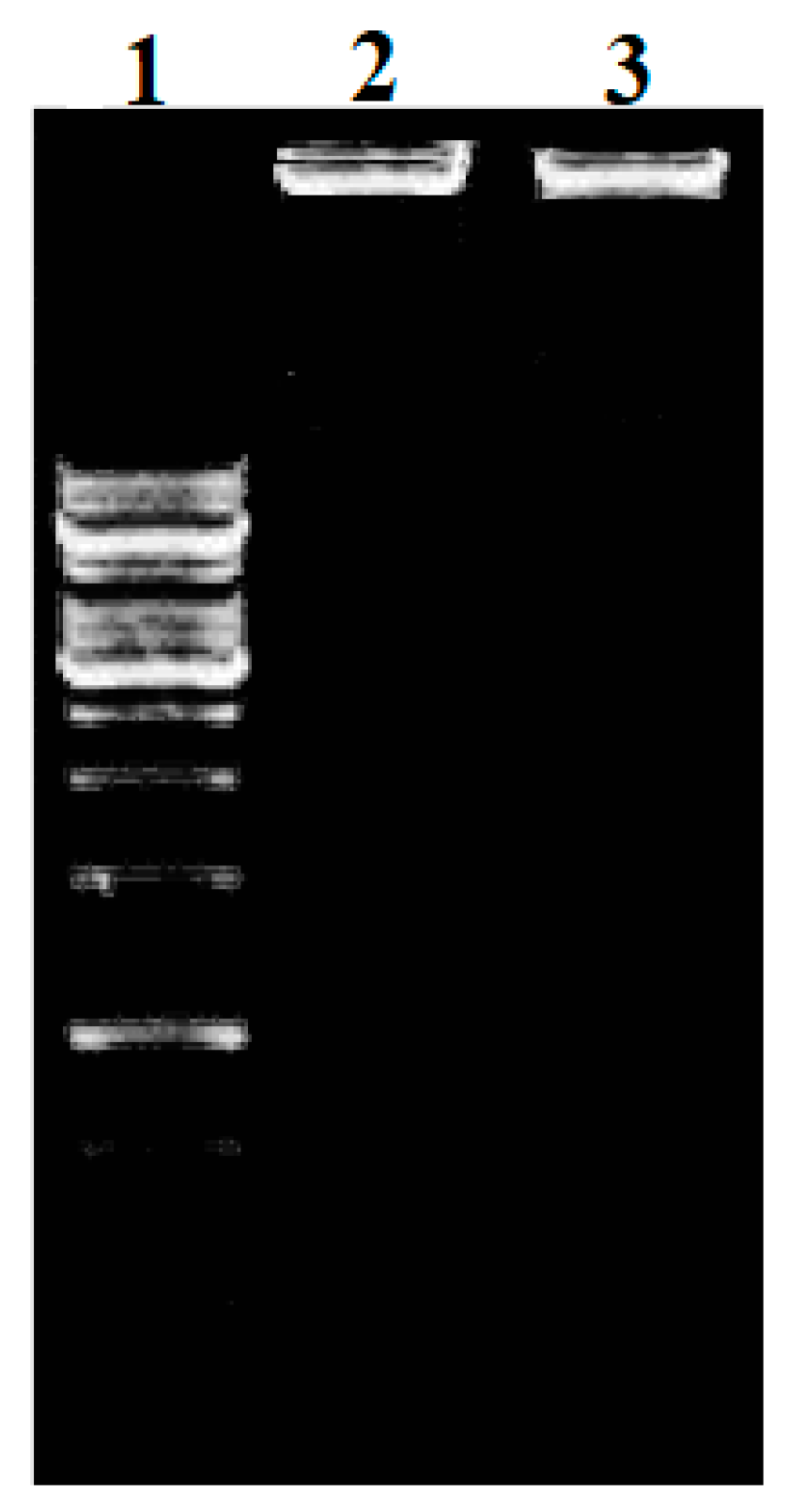 Molecules 28 02215 g009 Molecules 28 02215 g009