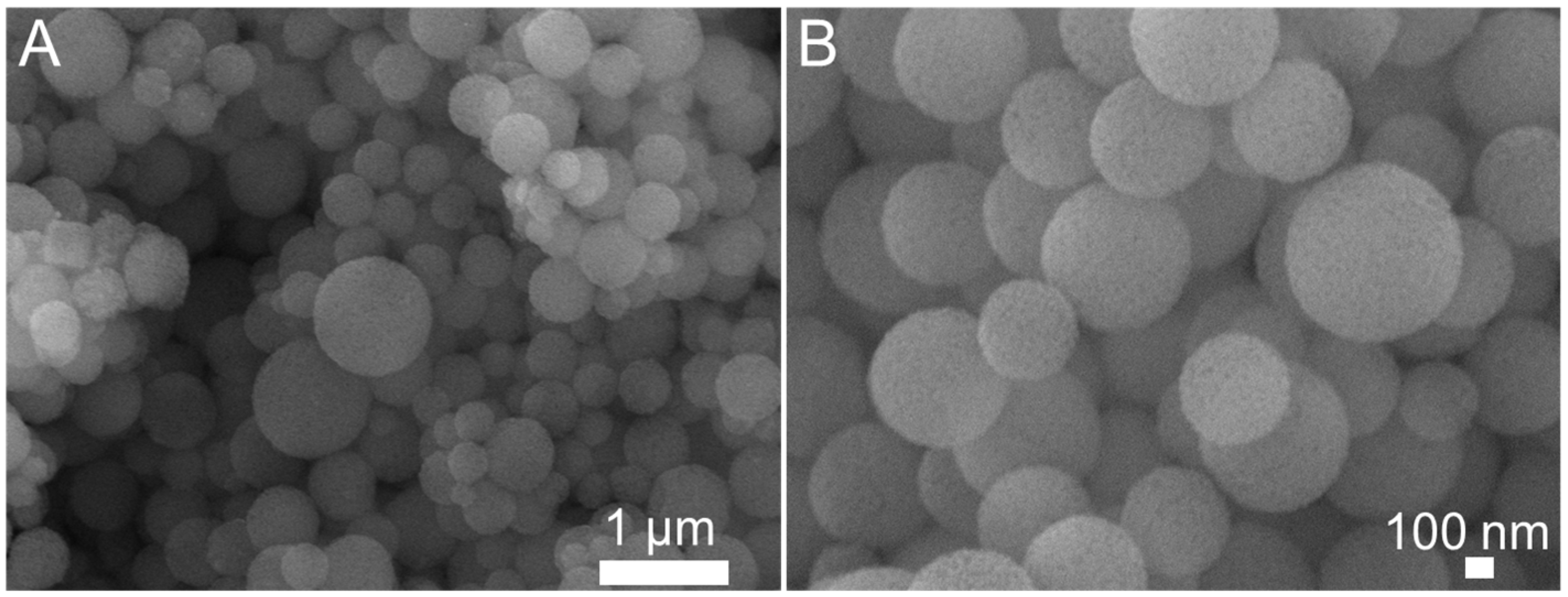 Molecules 28 02224 g001 Molecules 28 02224 g001