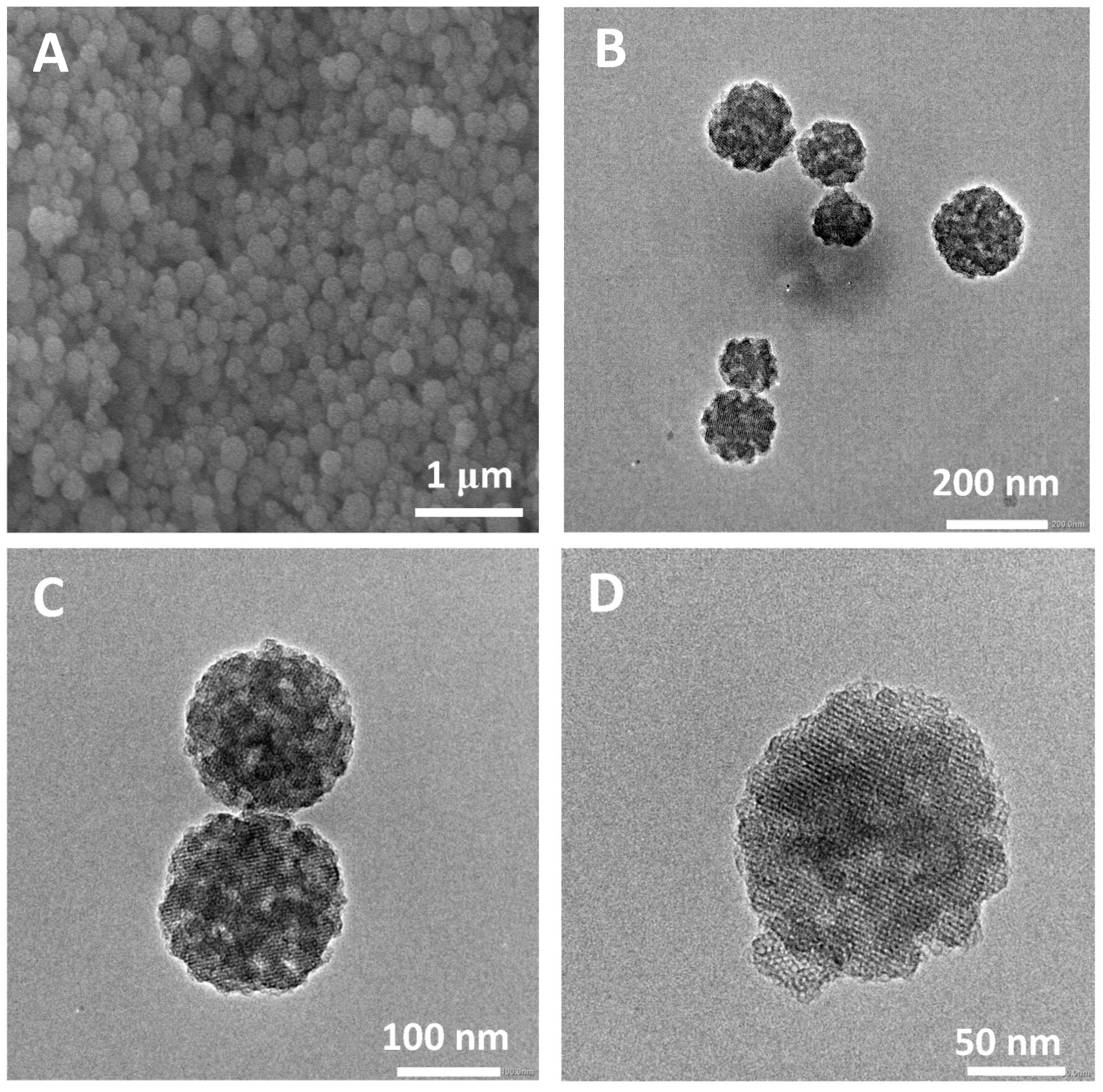 Molecules 28 02224 g009 Molecules 28 02224 g009