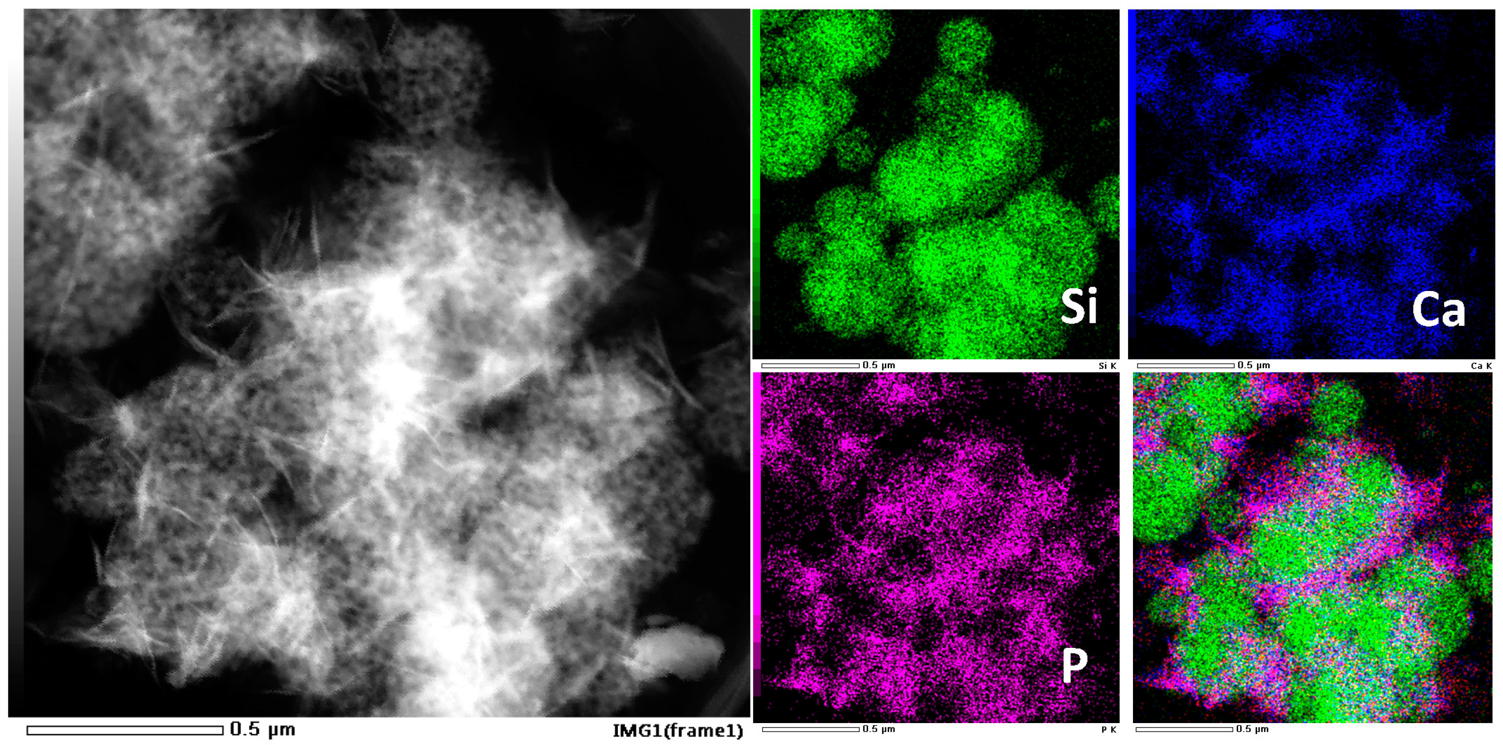 Molecules 28 02224 g013 Molecules 28 02224 g013