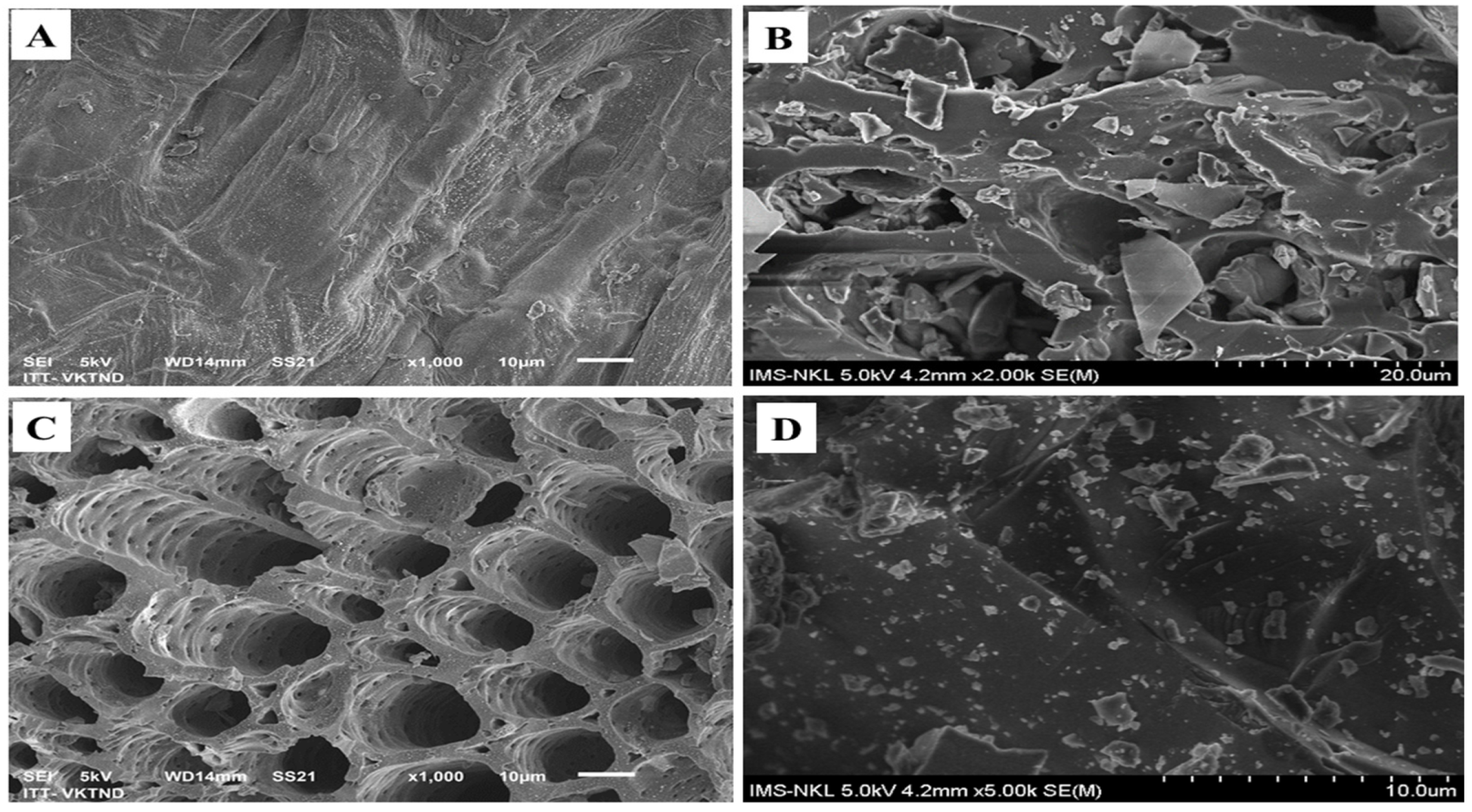 Molecules 28 02225 g002 Molecules 28 02225 g002