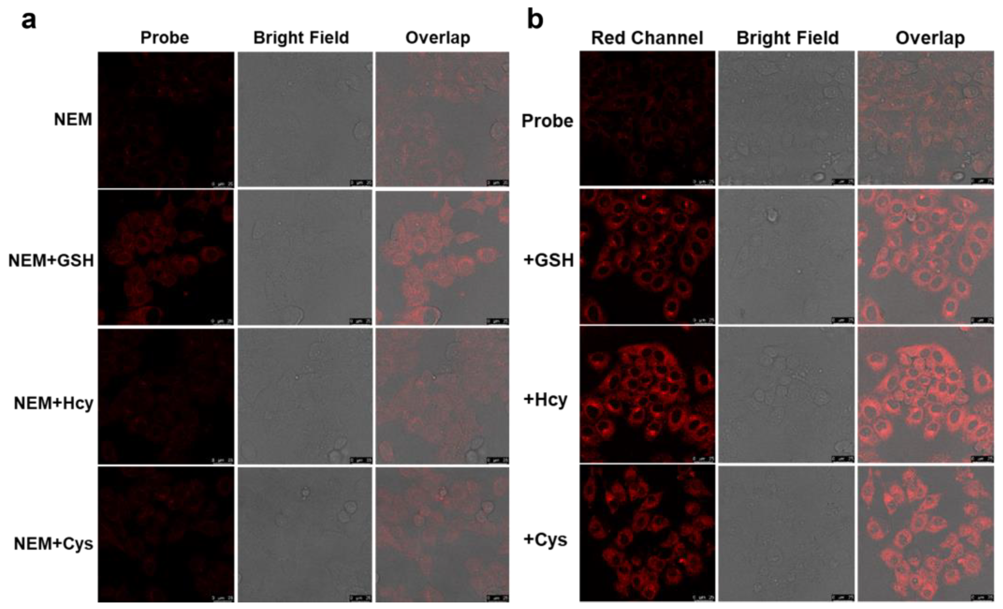 Molecules 28 02229 g003 Molecules 28 02229 g003